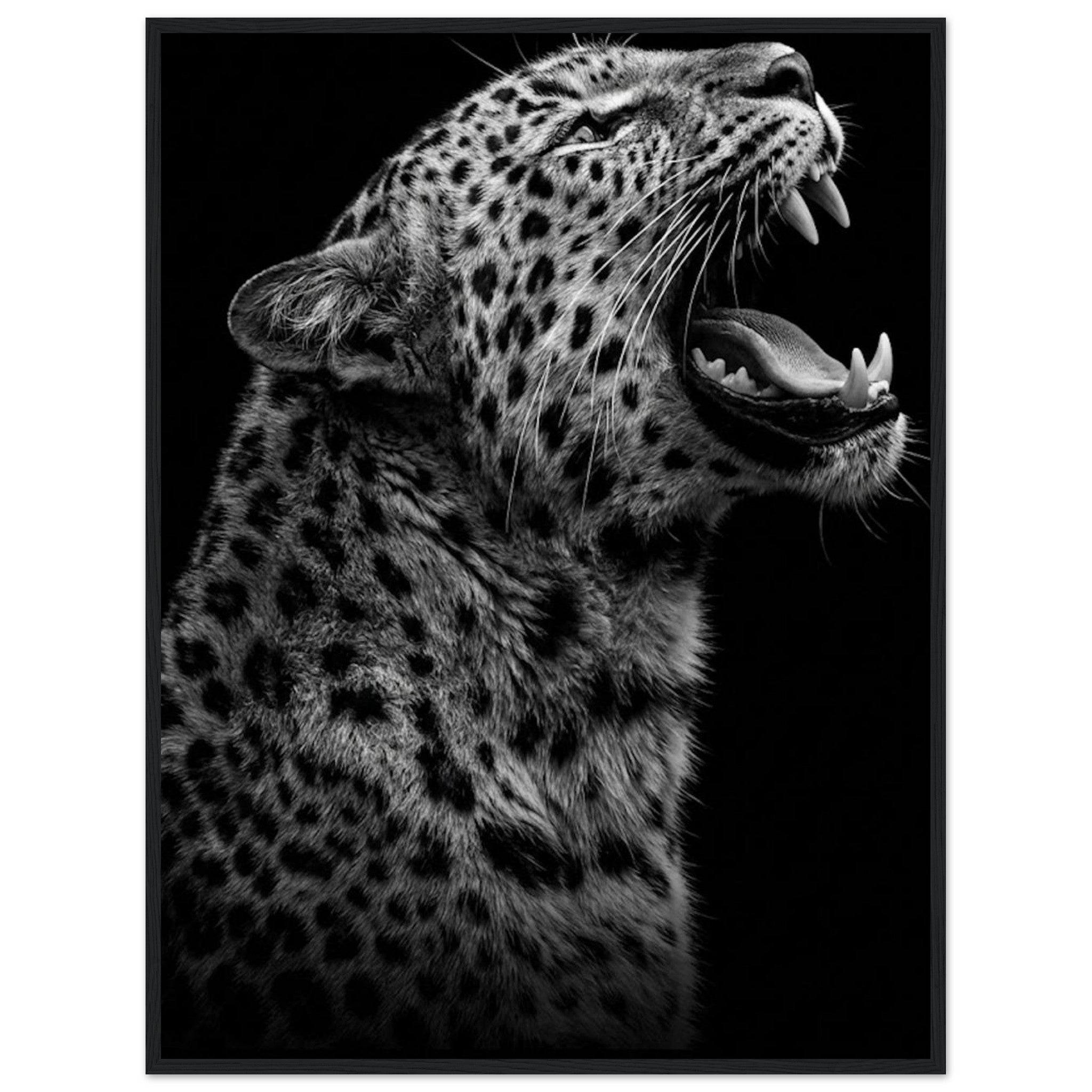 2f24af43-7507-4489-b3ff-01903eadfd47