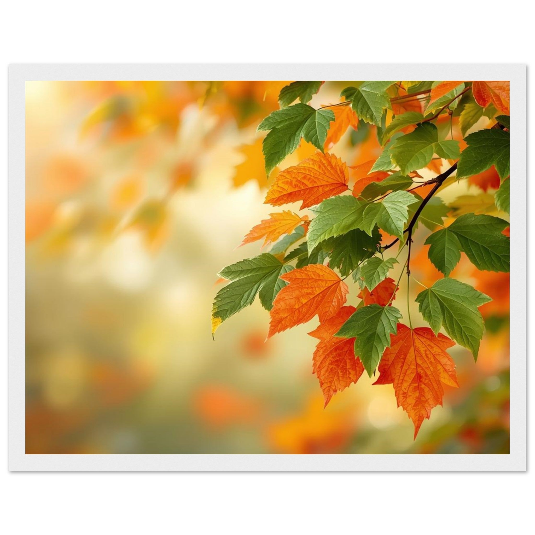 3164ae26-5208-4d2b-856e-7f6862287715