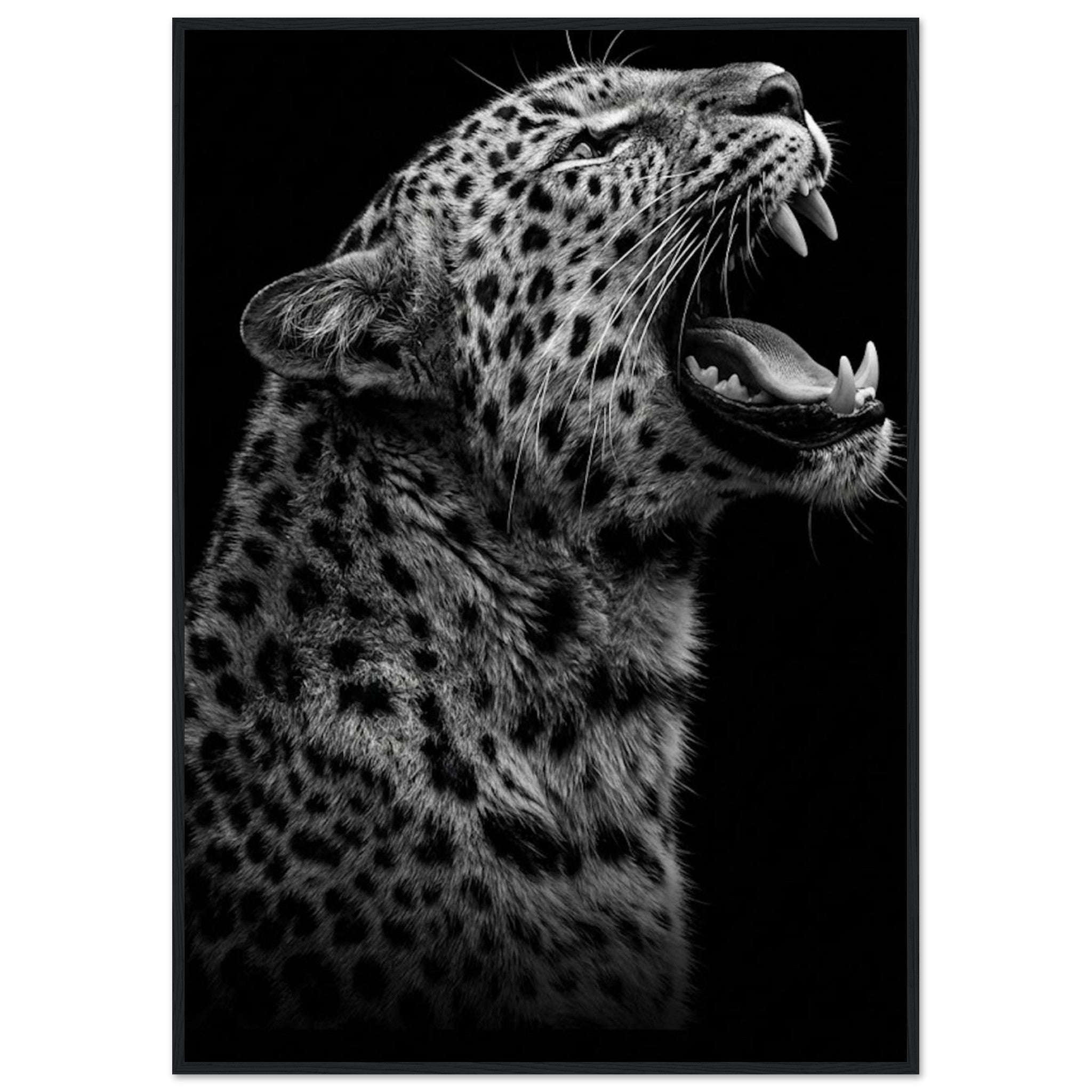 338779d4-dc25-4ca2-99d0-31619ff96743