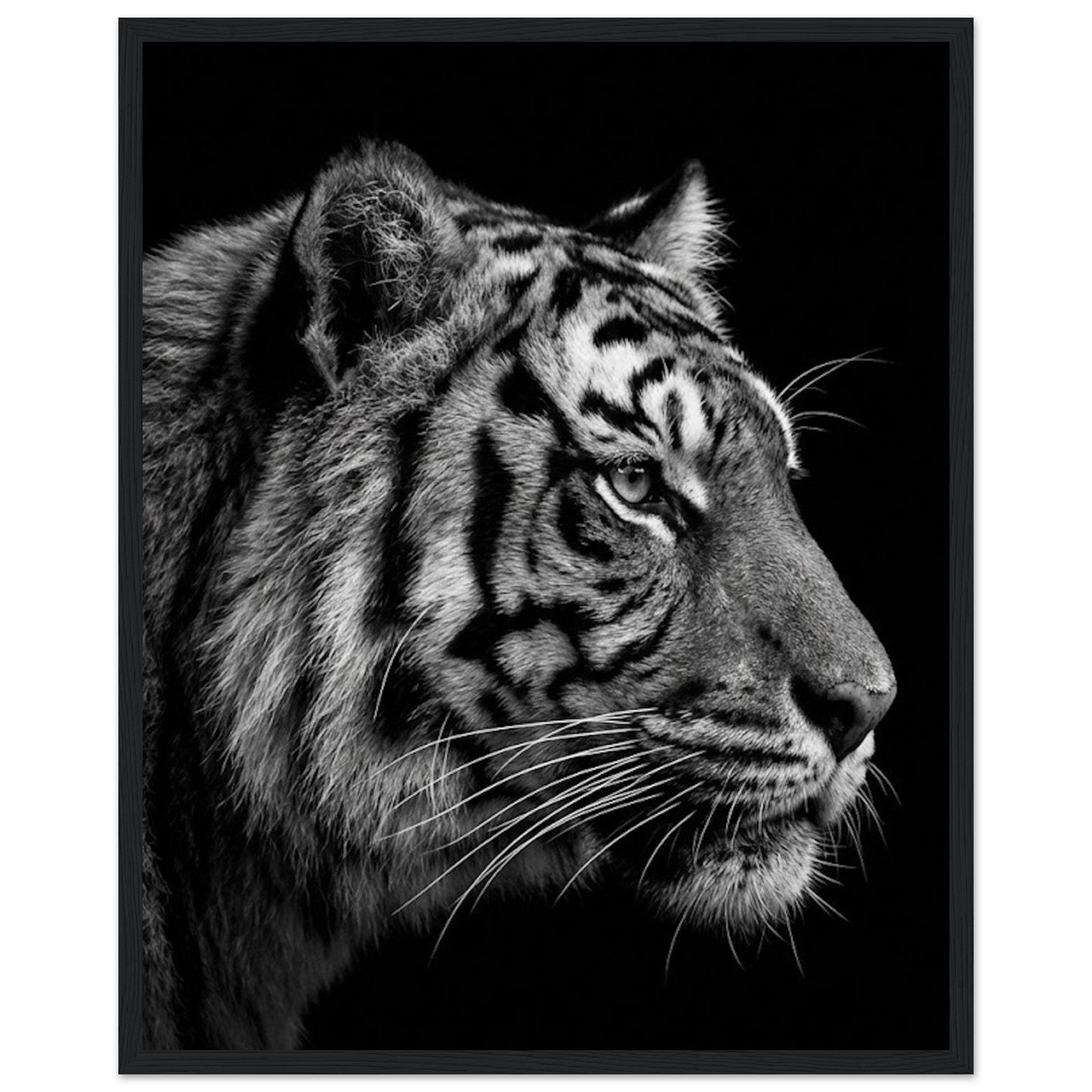 338e267c-e310-4642-bfa7-682421b63f7f