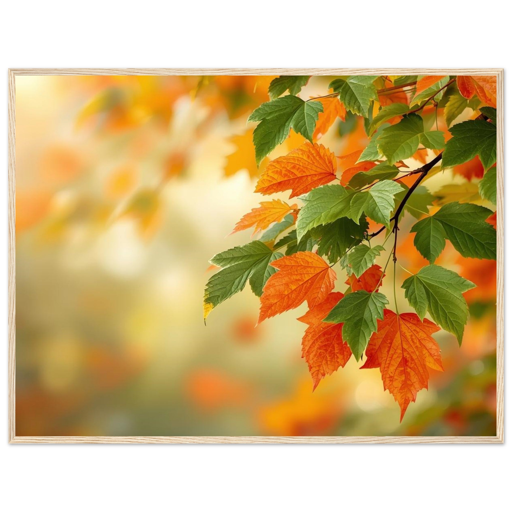 34093791-93b5-49fd-a204-23ec638d09f0