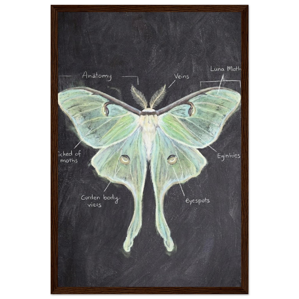 34db2946-27f6-4065-8ae5-55d52c494d3f