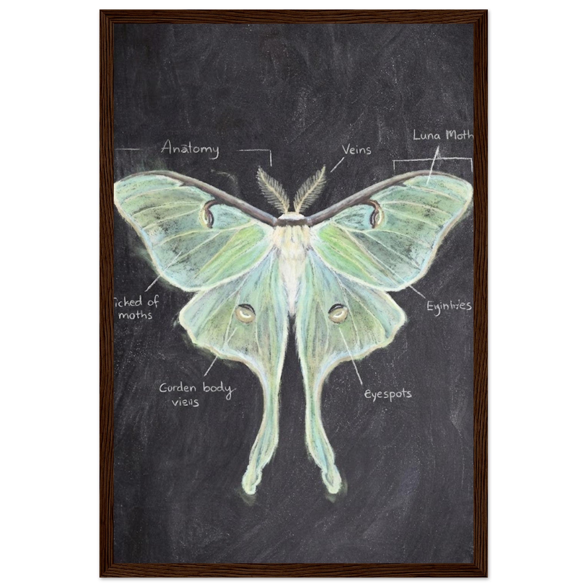 34db2946-27f6-4065-8ae5-55d52c494d3f