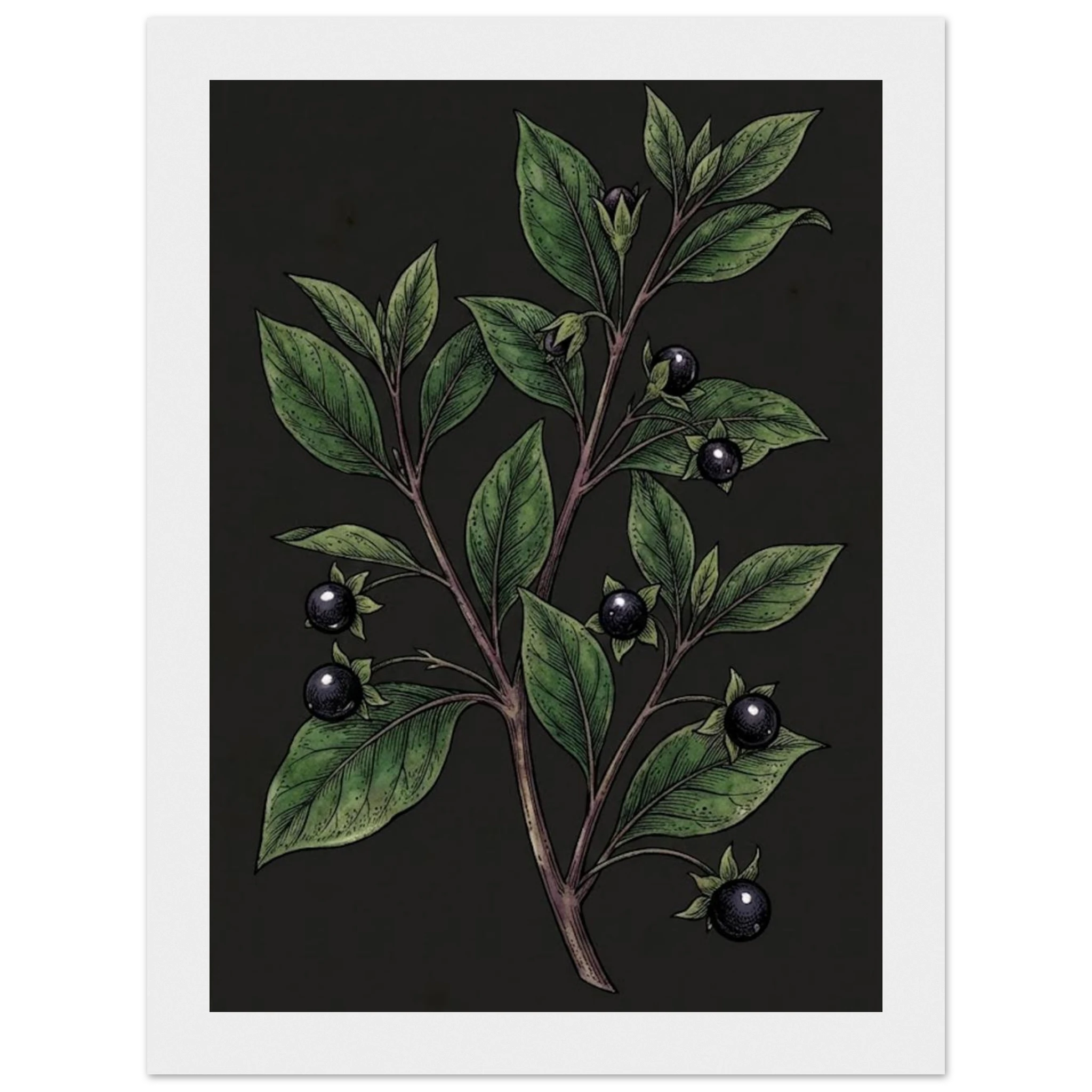 34f340ee-1435-44d4-97af-cc323131ee52