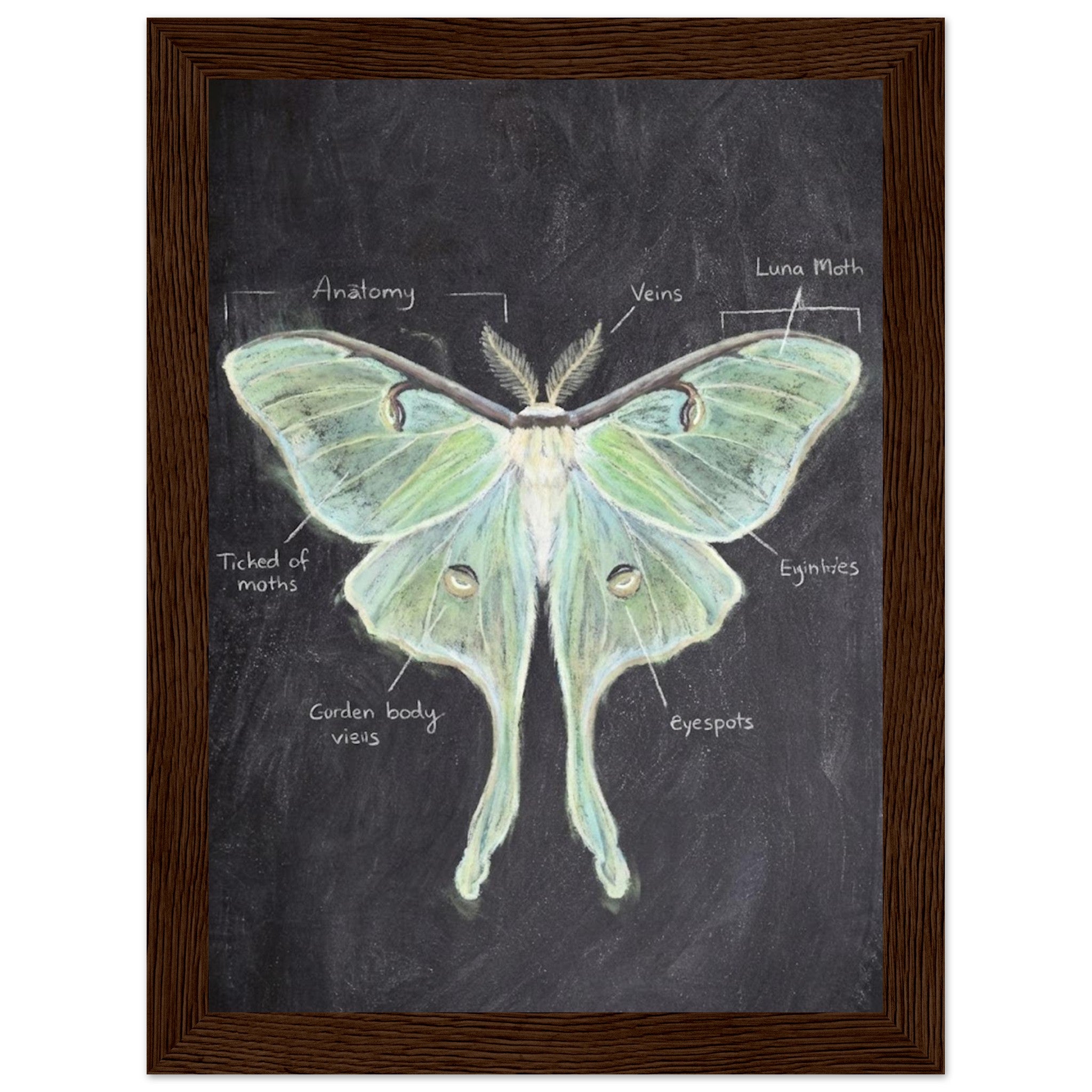 36493ccd-2520-49b2-8df2-ce0a4f44d578