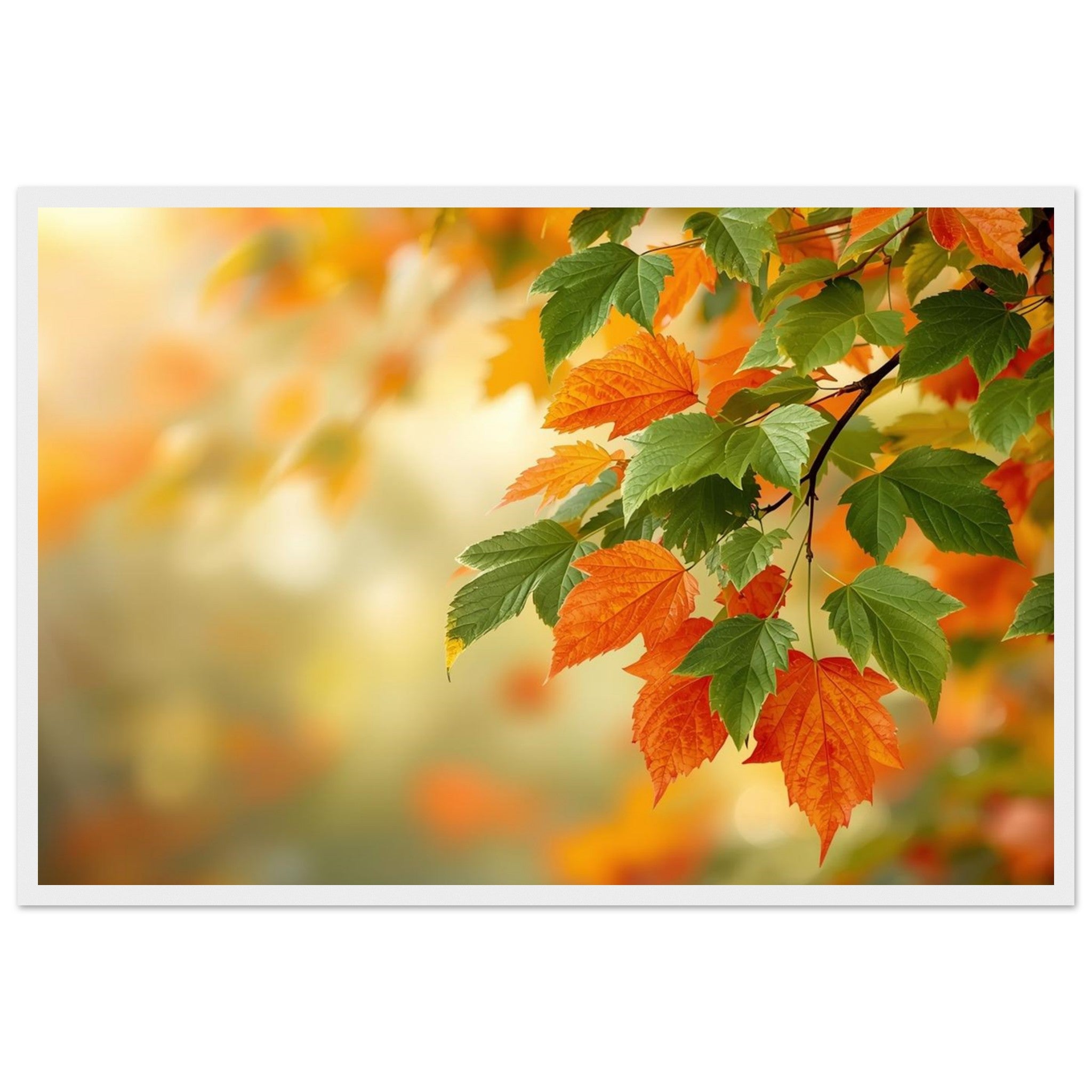 36a4f0f3-087a-4fa0-a713-9aeca8fb8eec