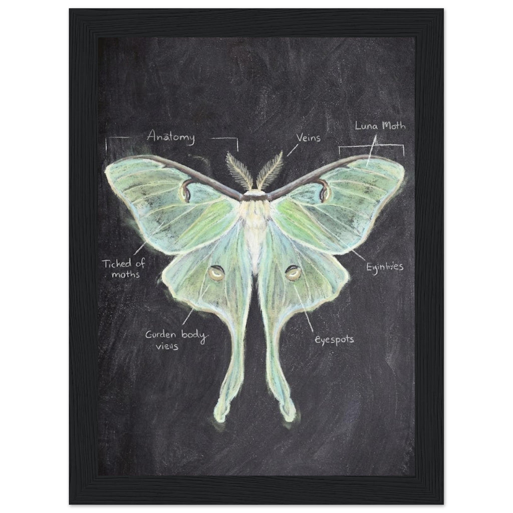 36e181c7-43d7-456d-bb16-f5844625a994