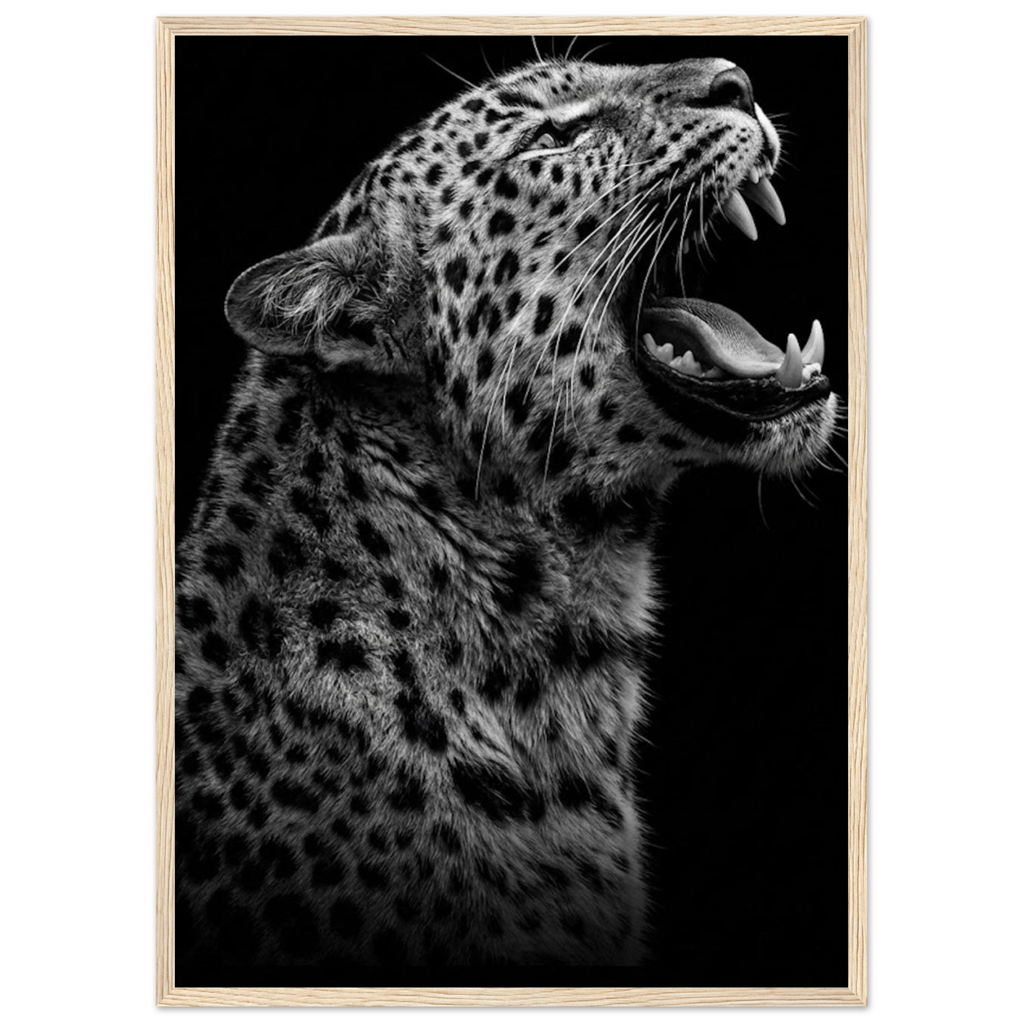 3a56bc29-ce94-4897-8d63-8f927b39e79b