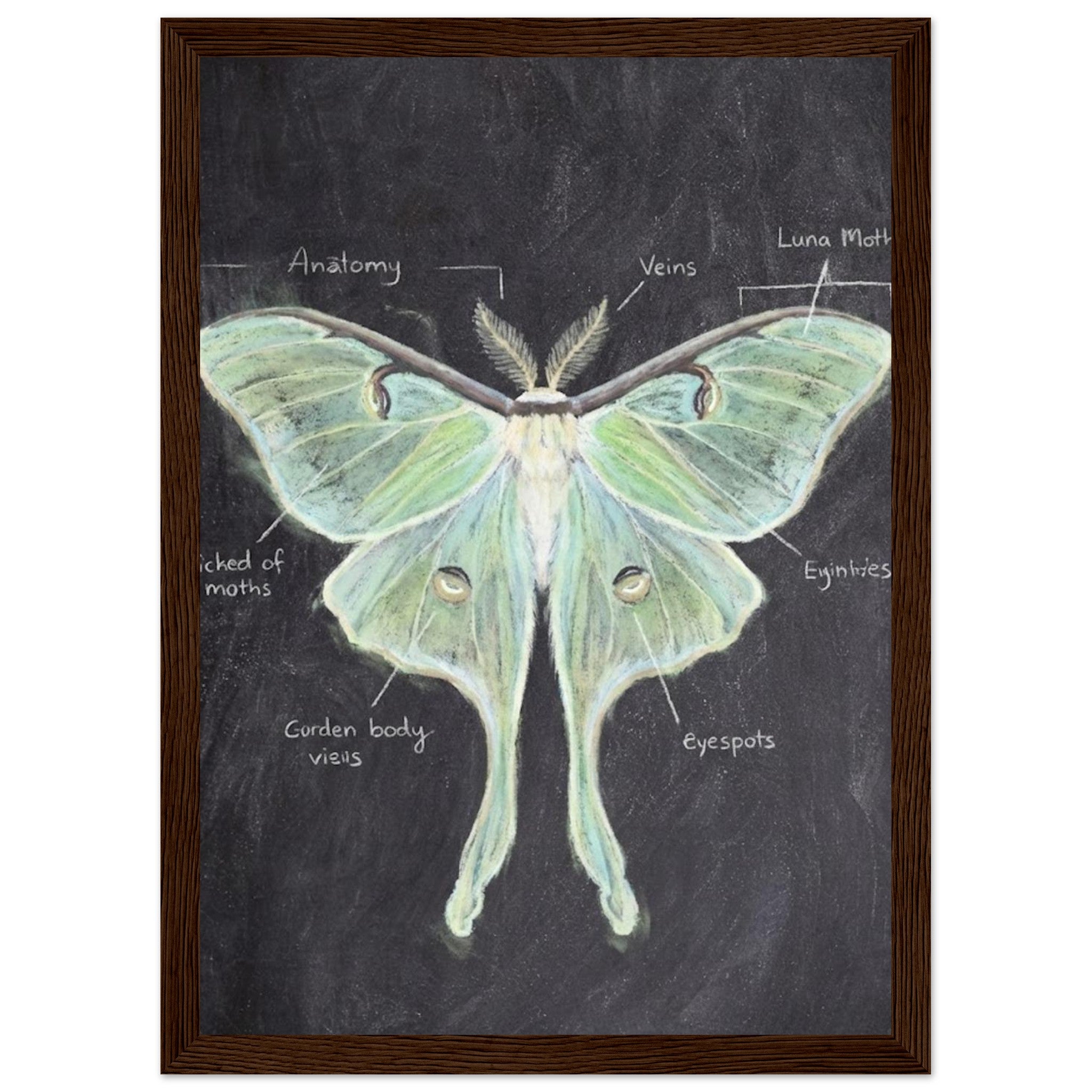 3a833e86-841e-4a89-805e-2dbf0d02037a