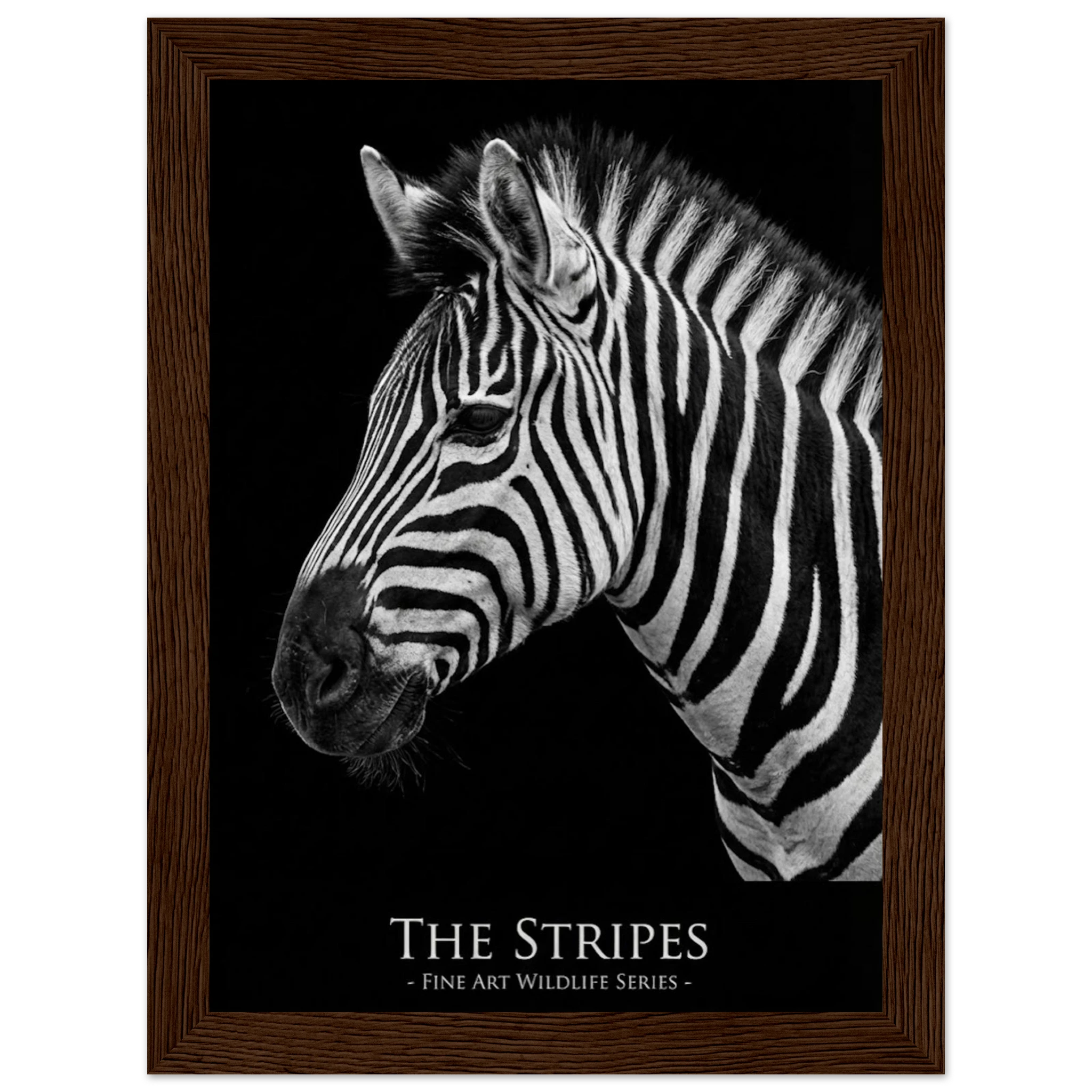 3b623d8d-7e01-4a78-aa0a-3149d2f9911a