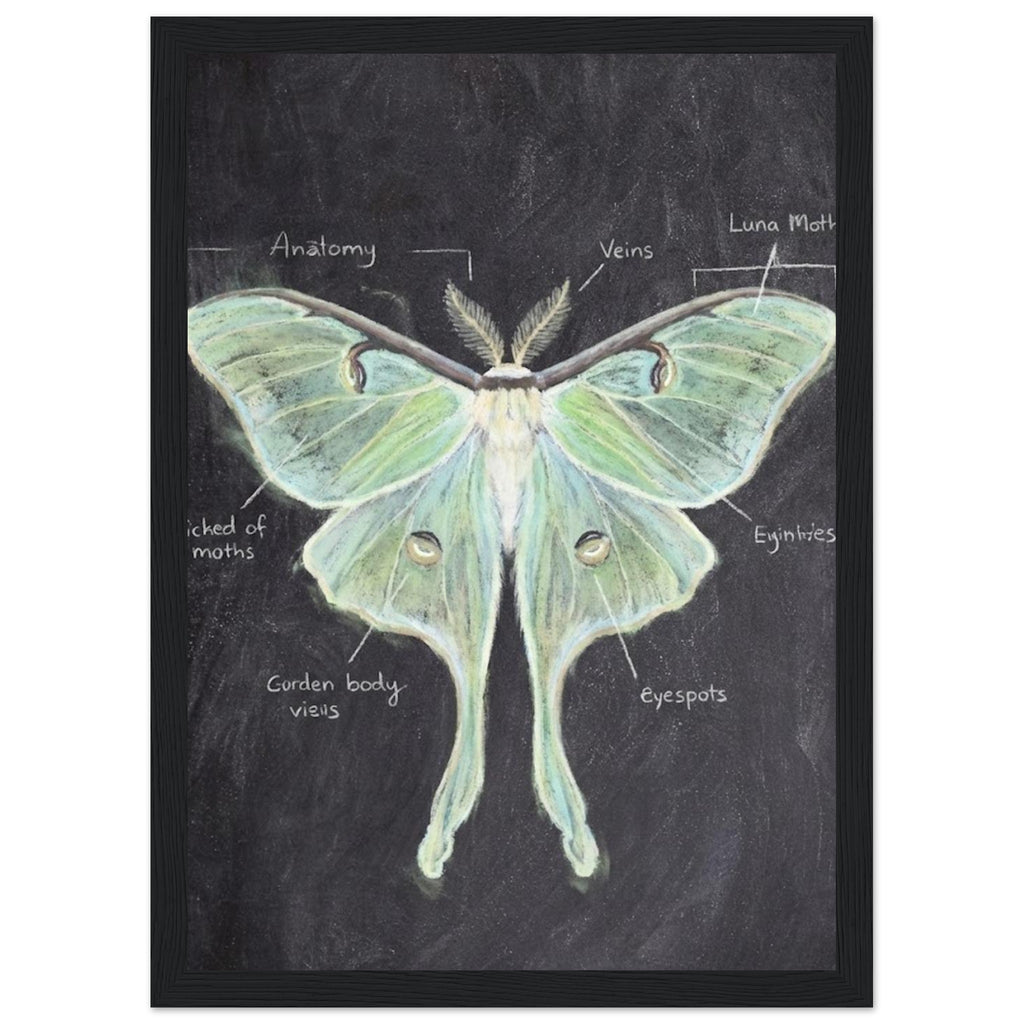 3bae7b9d-cebf-413b-b458-be4afb1dd8ea