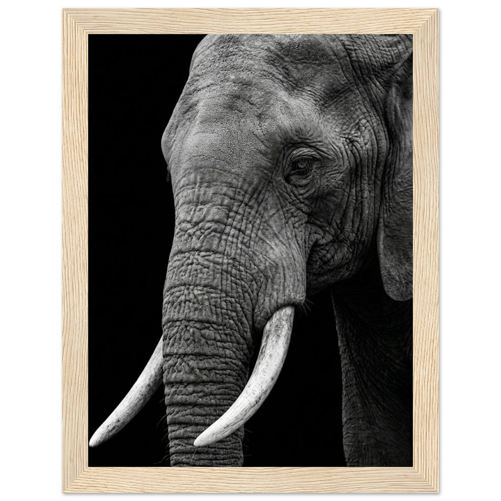 3bd164de-66fc-4245-9e49-23d060e46123