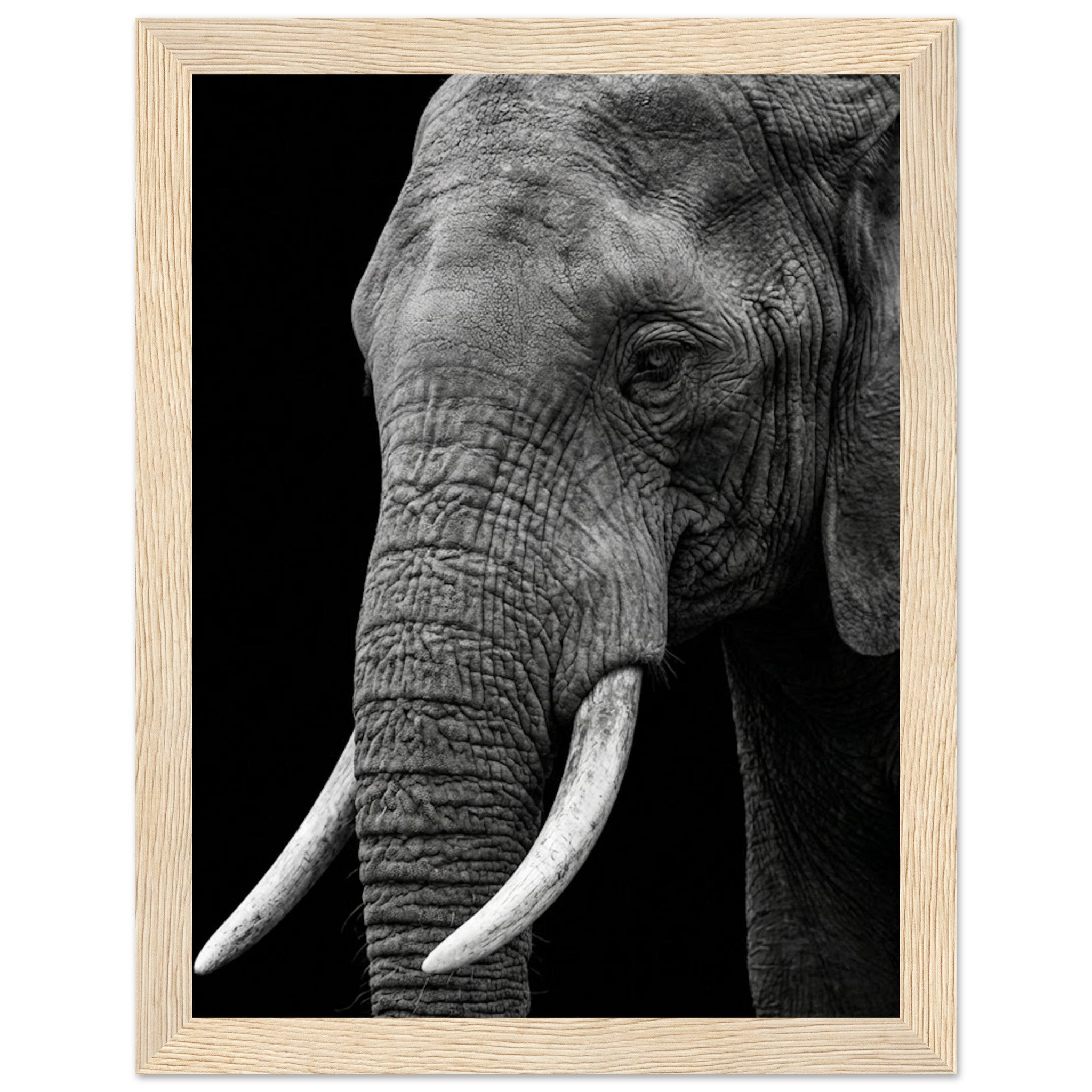 3bd164de-66fc-4245-9e49-23d060e46123