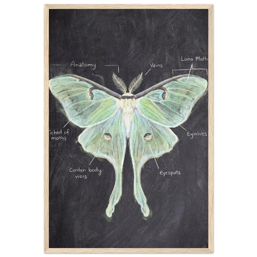 3dae31b6-15cc-4328-949e-e8776af160c0