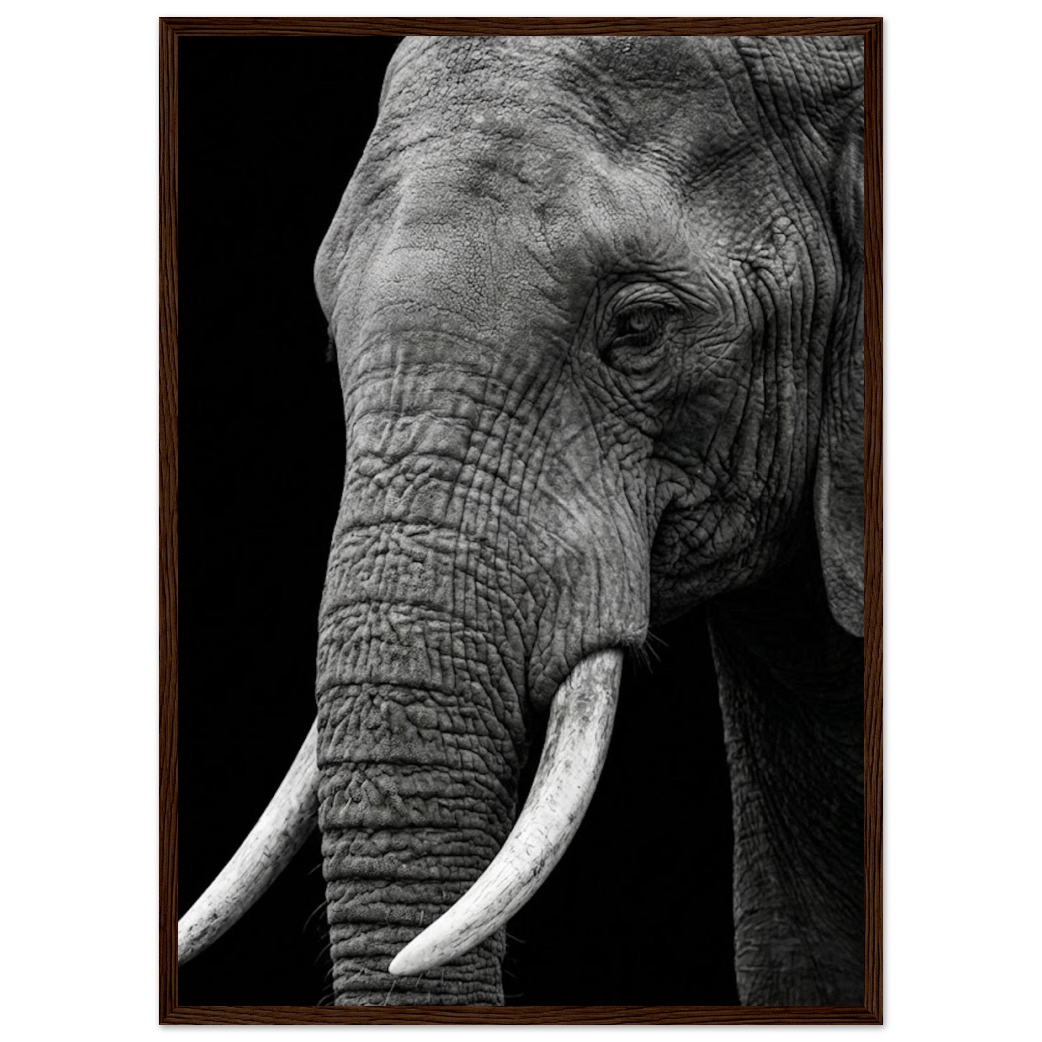 3dbb63c0-039a-48ec-a2b6-21207ffe97b5