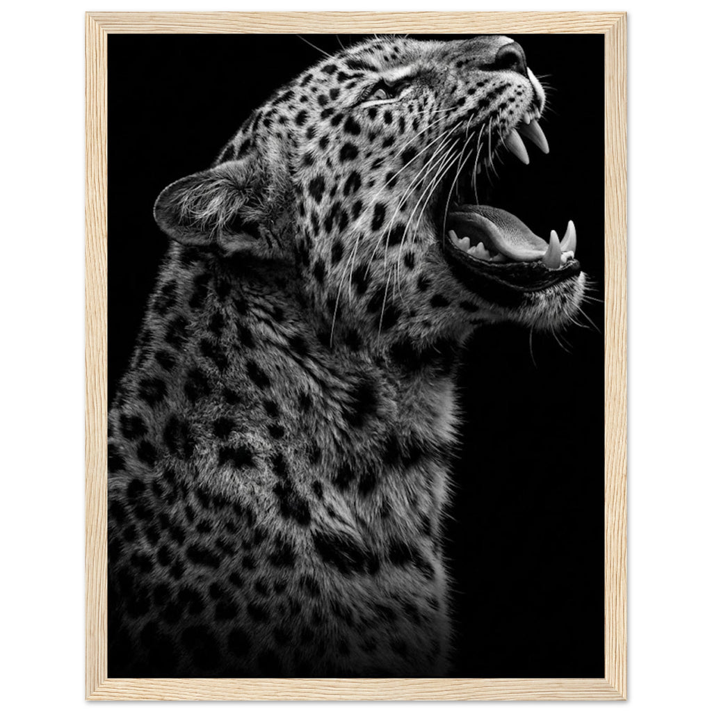 3ea6e1d7-fb93-4f0c-9497-9f3b869f11d0