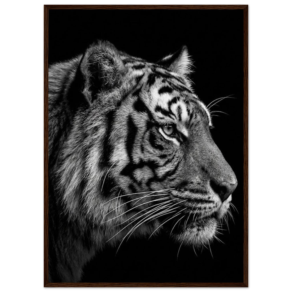 3f24a437-4f6c-49b4-ae68-5070e34094b9