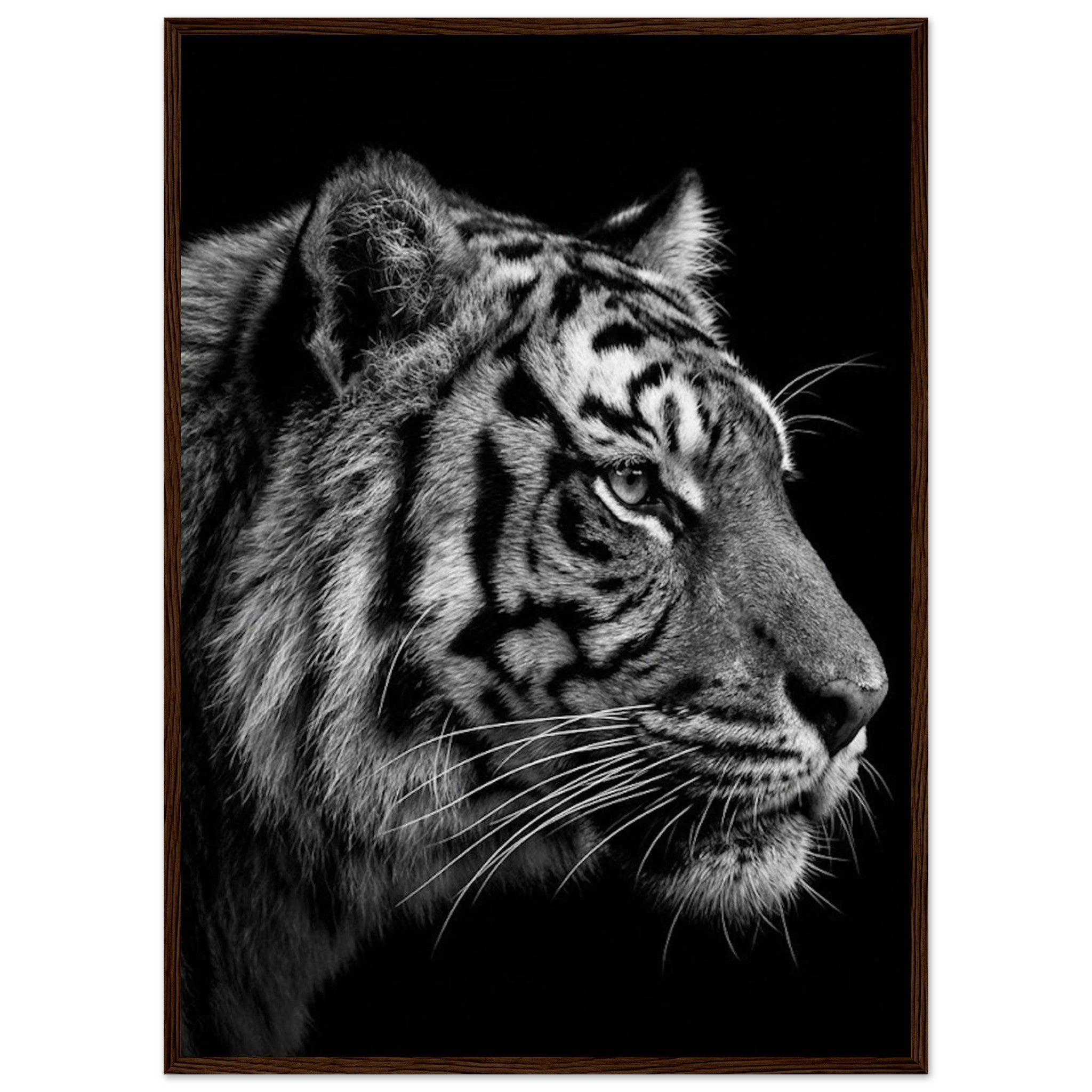 3f24a437-4f6c-49b4-ae68-5070e34094b9