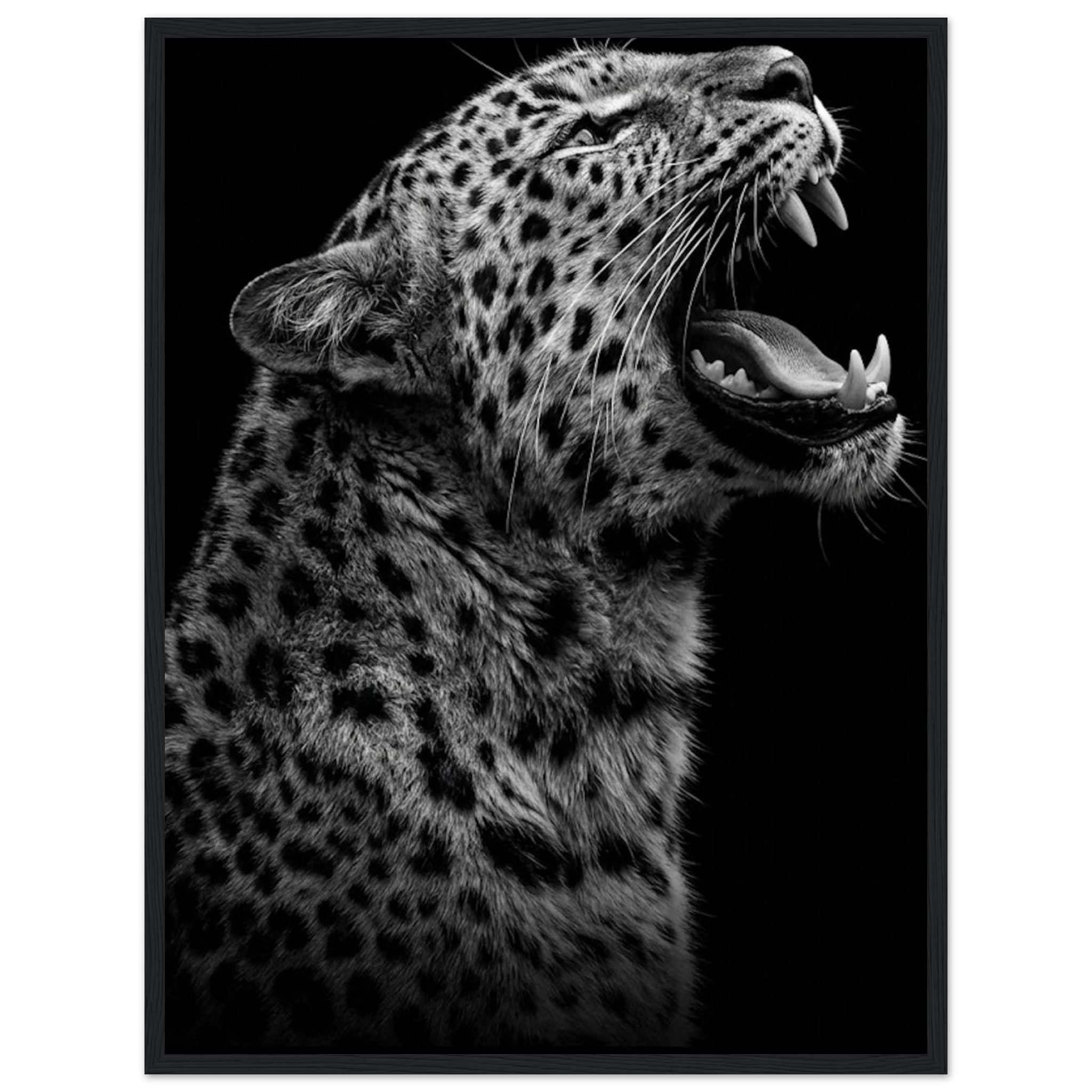 3fa3e04c-36c4-422c-b49f-2b60a0b628a1