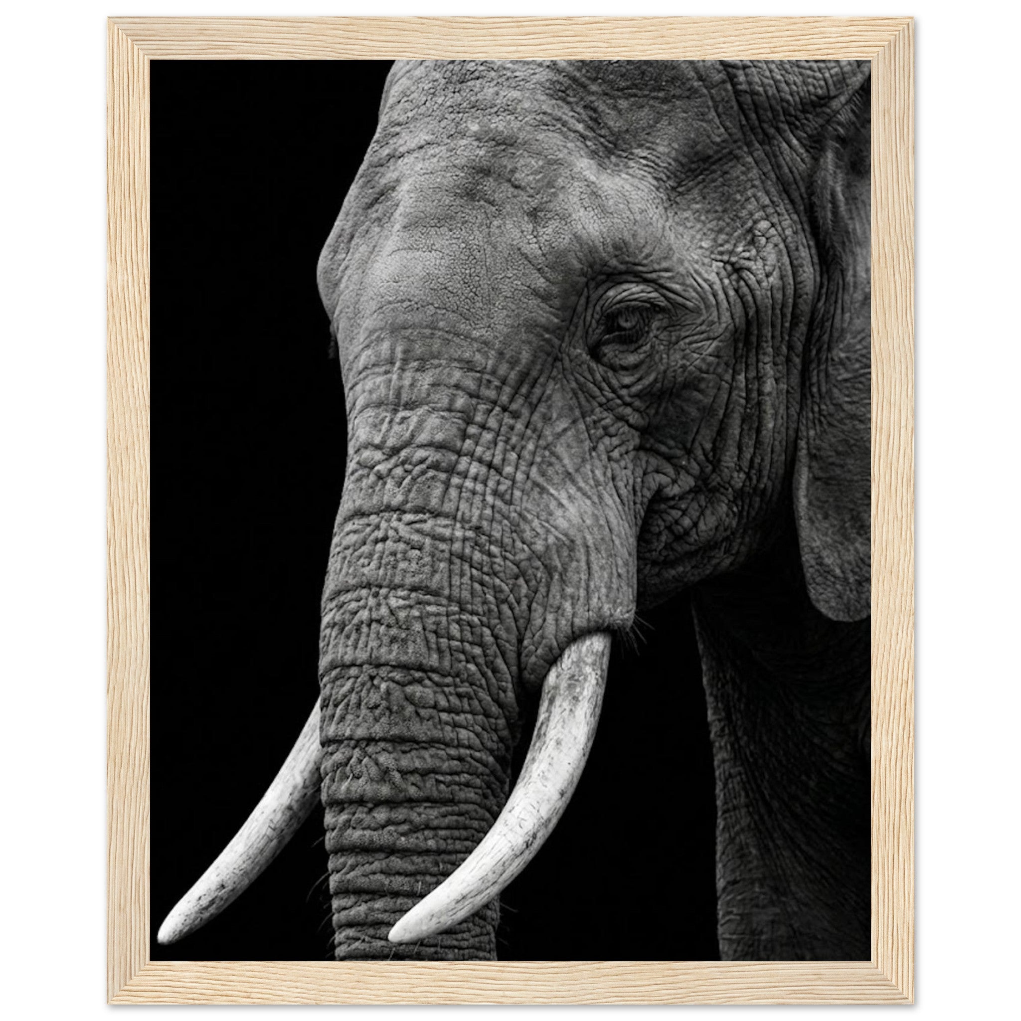 40699397-90c5-4fa7-aa6d-ce6b87f20c0a