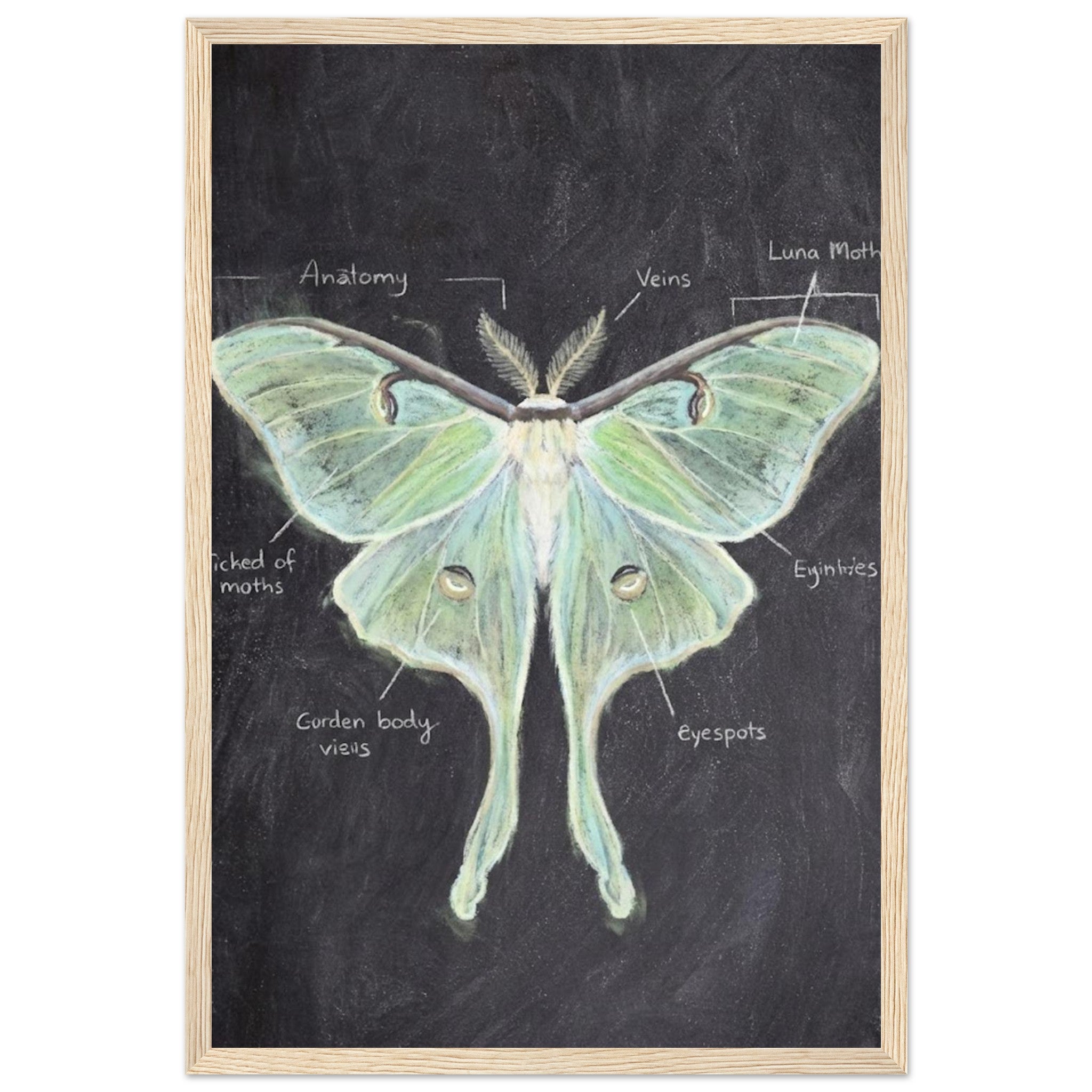 41ca084c-25bc-41c4-89f4-0491802b7c33