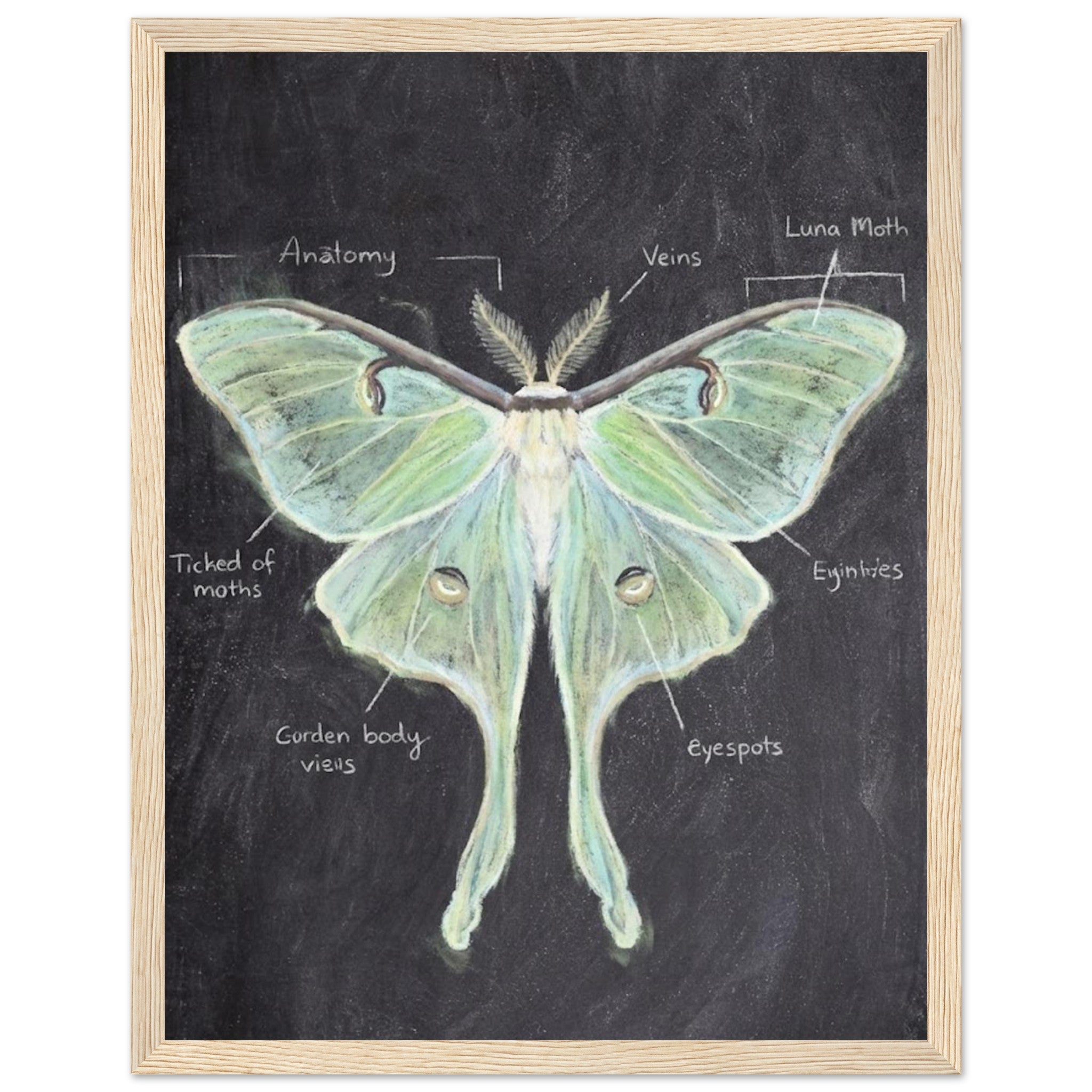 420e9d01-2ce0-45c4-8312-97256aa3290e