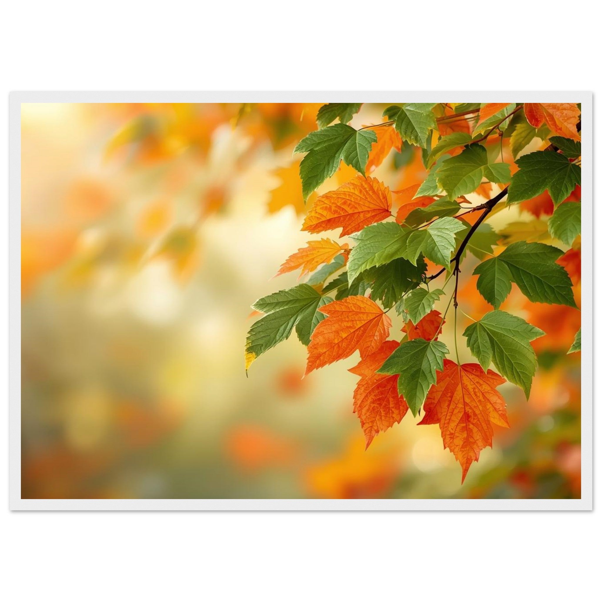 421c88af-ef98-4210-8cb7-d713a1a239ed