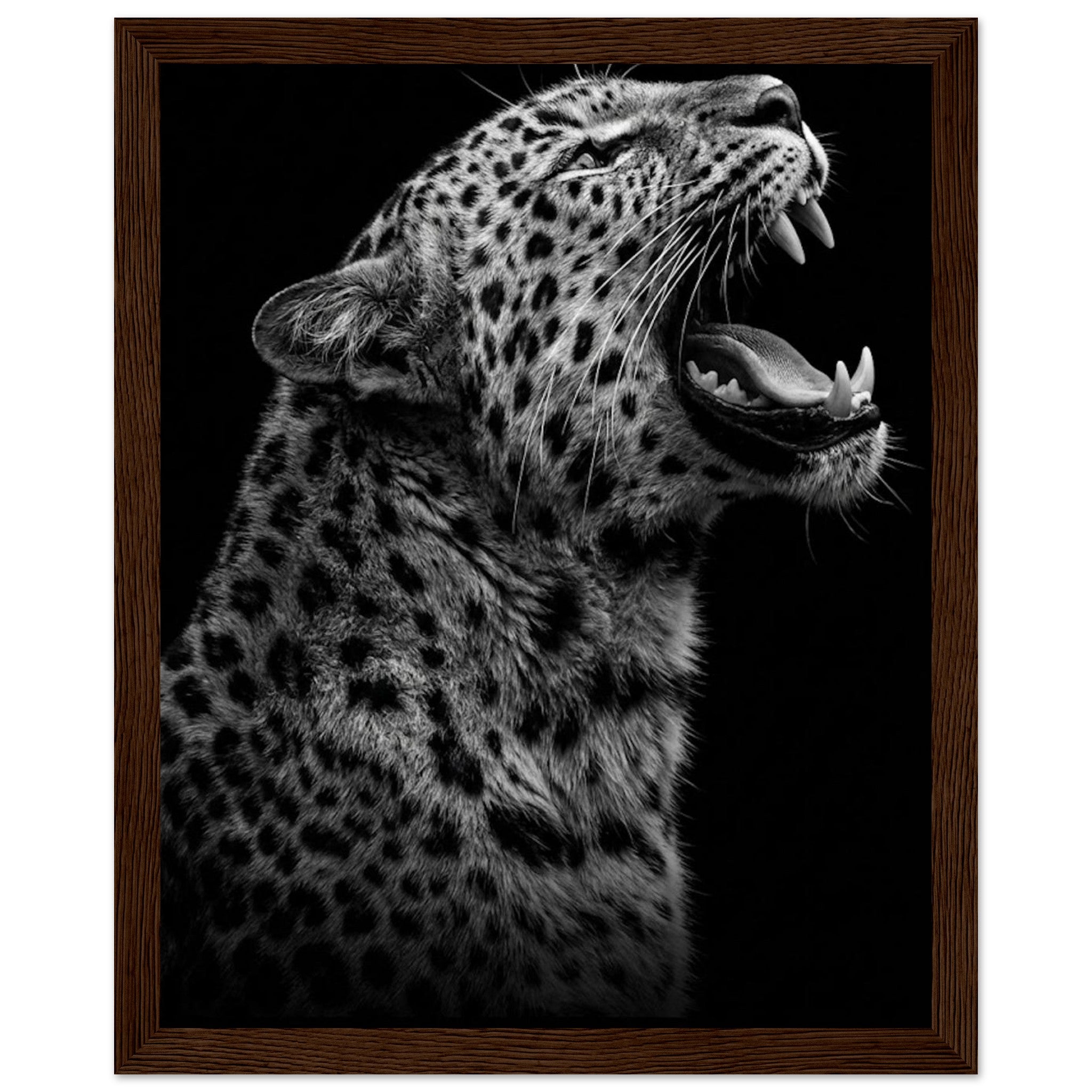 4313fd71-2540-45d7-8be3-53b16d8b0c3b