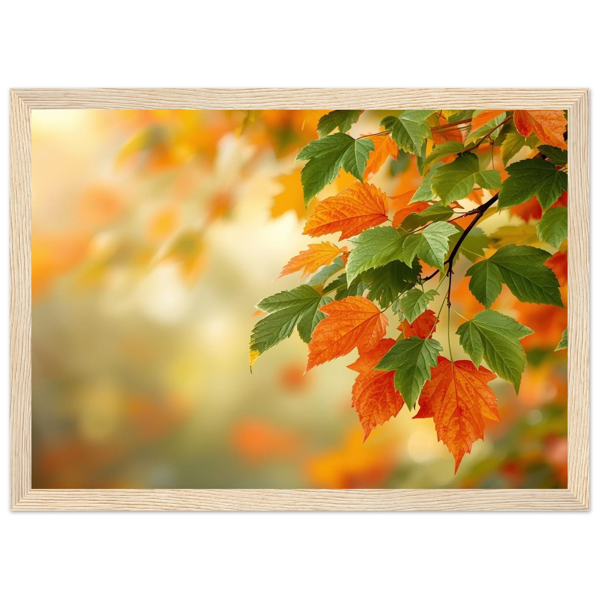 43e61e97-a579-4be2-ae41-5c5df248daef