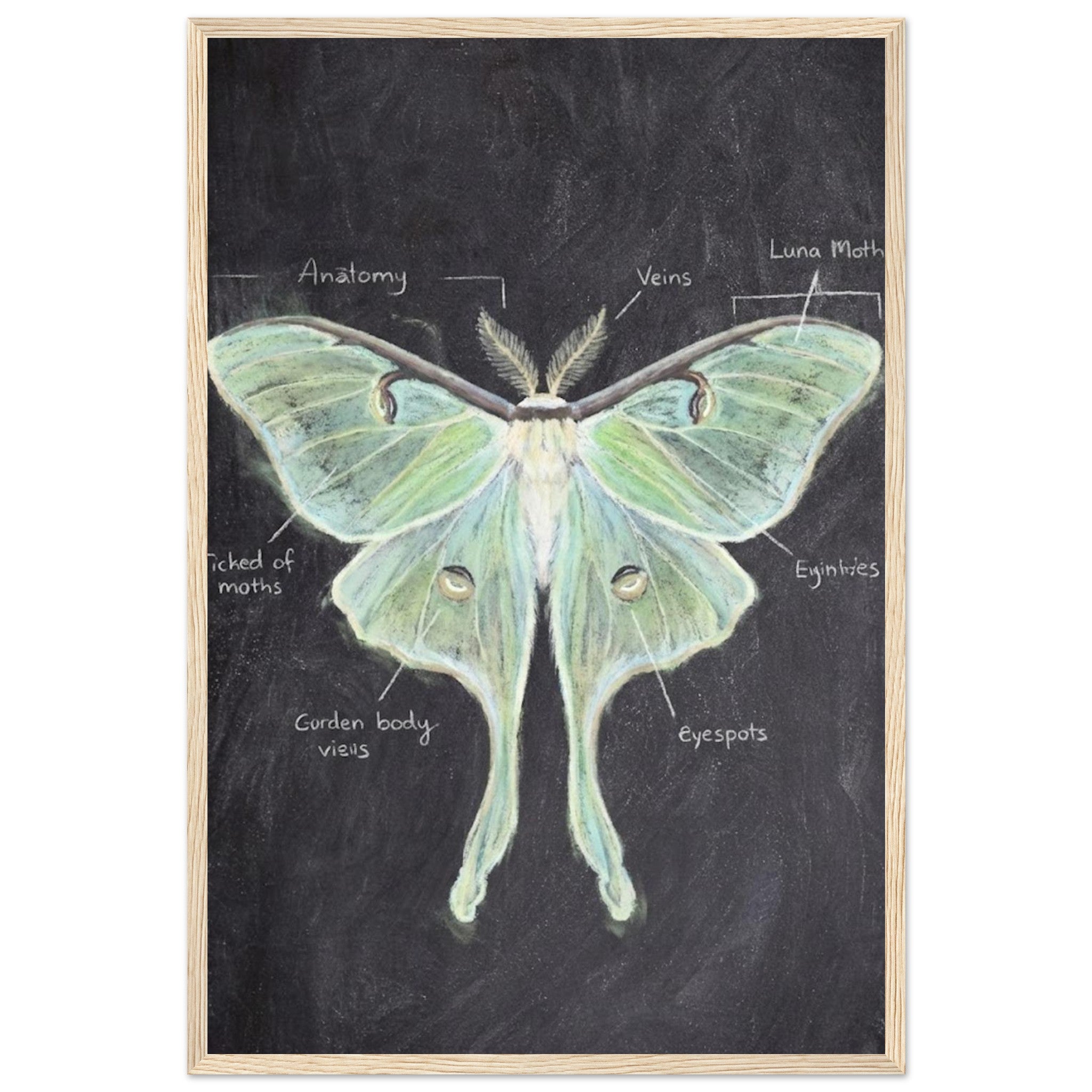 44ab4a67-37bc-4acf-891b-a5aac33fe048