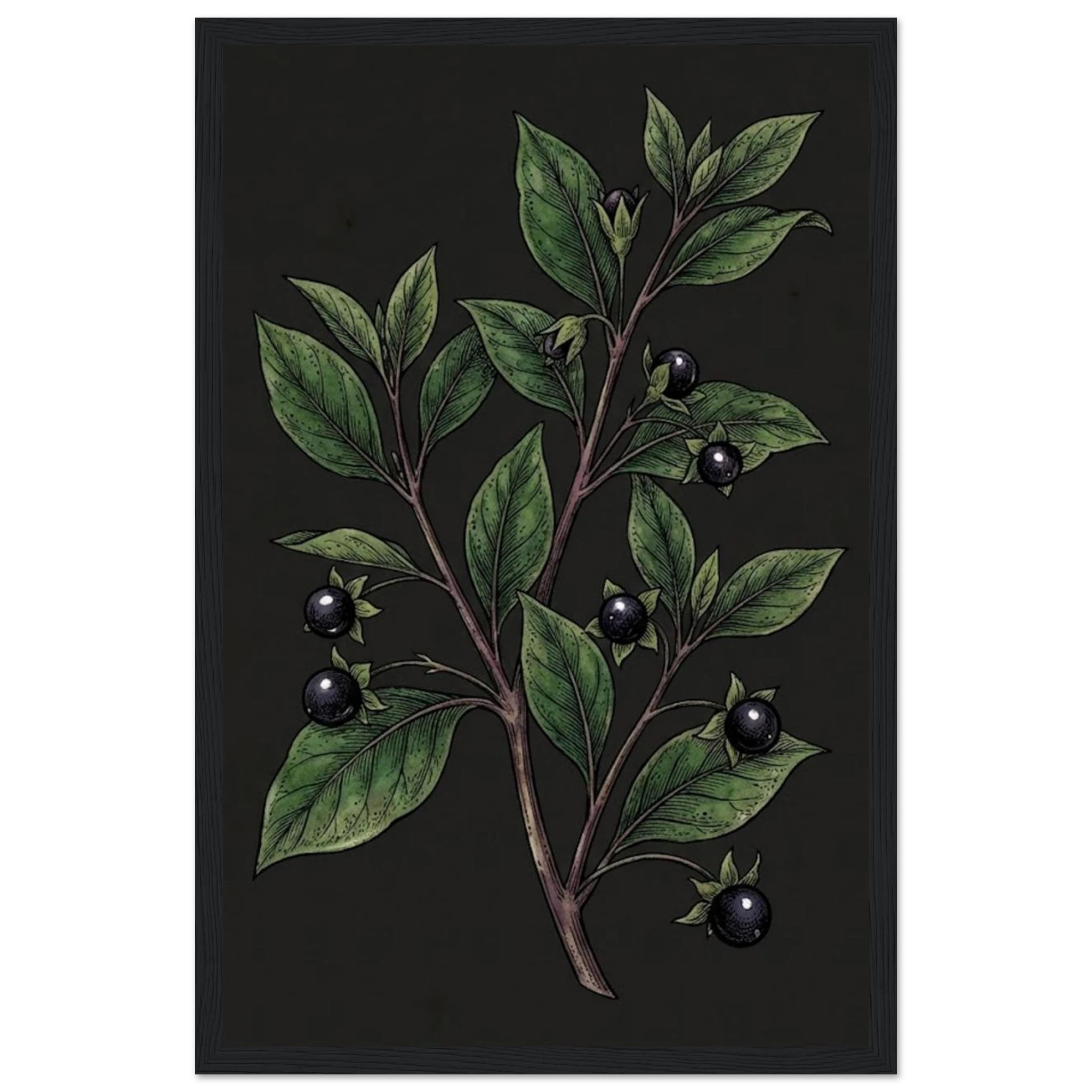 455d70ba-b050-4d0e-b5a5-213c8df3578b