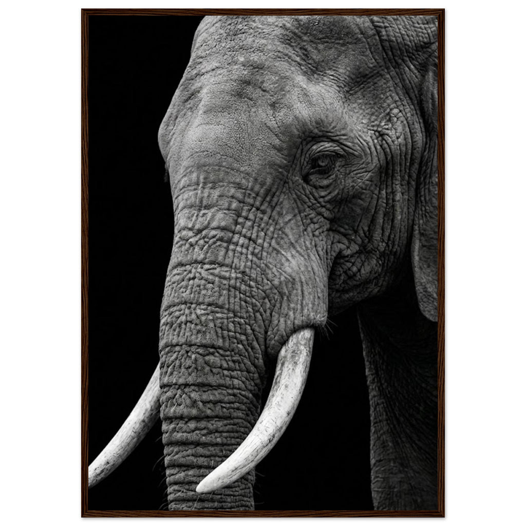 46dd1cc8-1286-4673-a343-da5860565f7b