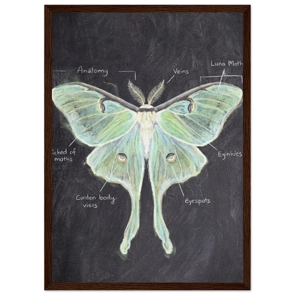 47eaa8b6-3212-4146-b476-1c28ee049072