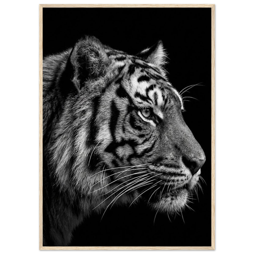 4cff4b97-bdfd-4b02-a66c-682a181f6a9b