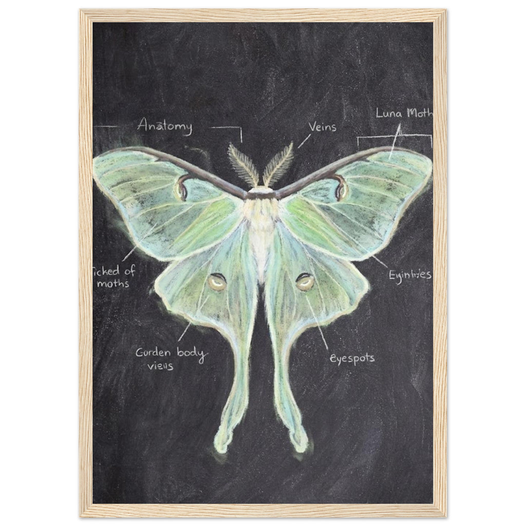 4e51be2d-9d48-4d83-a720-8779204b54b0