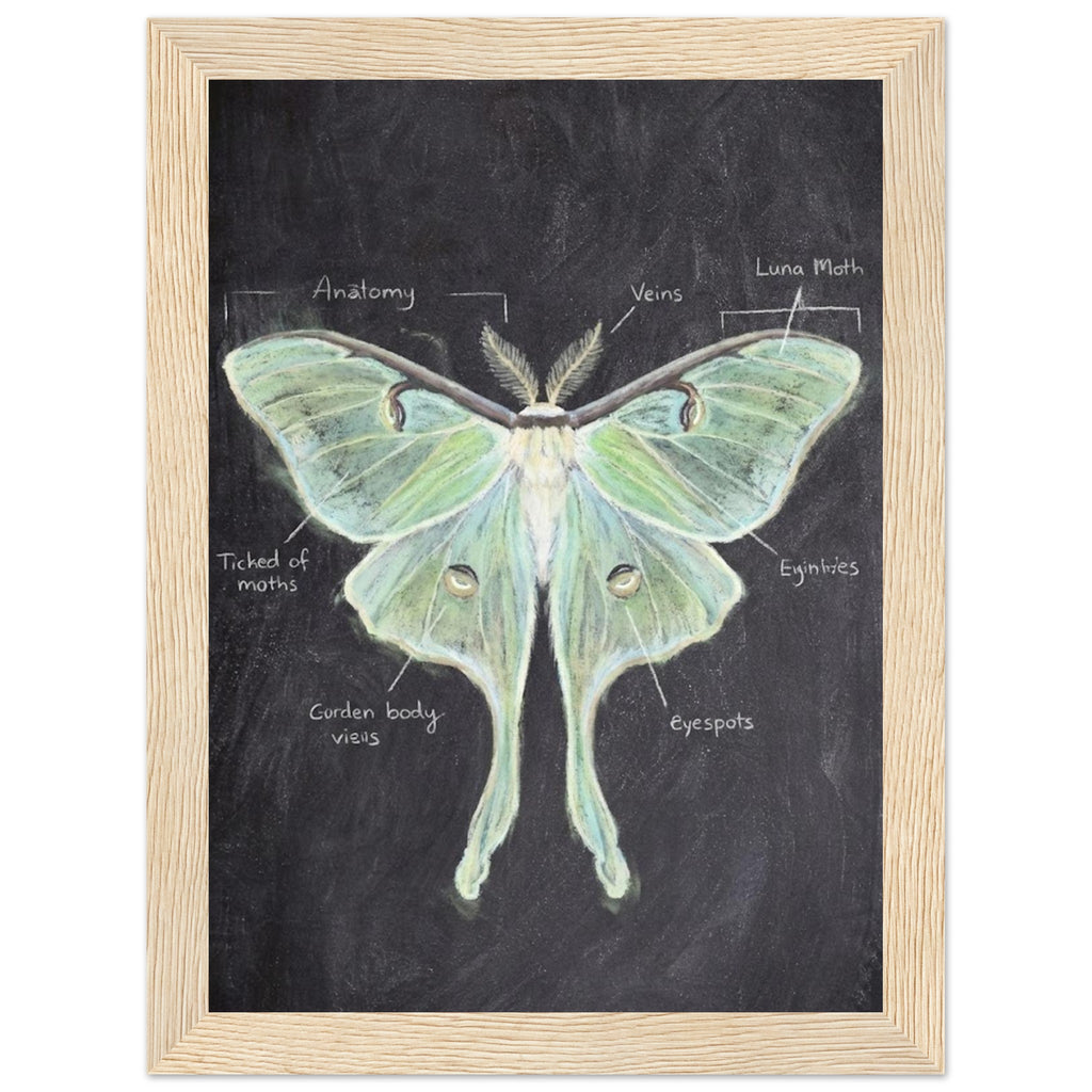 4f1726d1-409a-434e-885e-d14a90bbae75