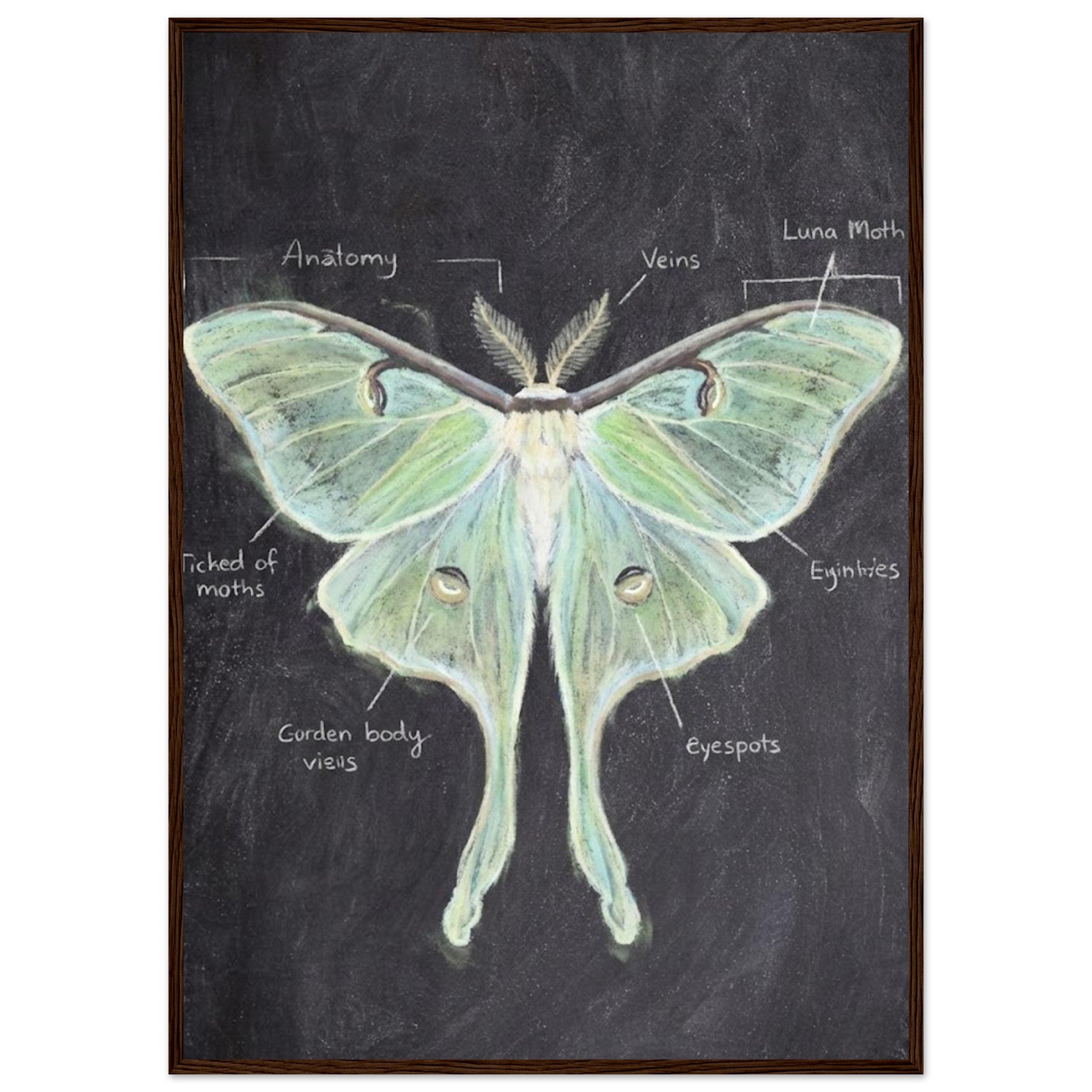 4f5eed73-4e4c-406c-b761-1b6cc6f5eb34