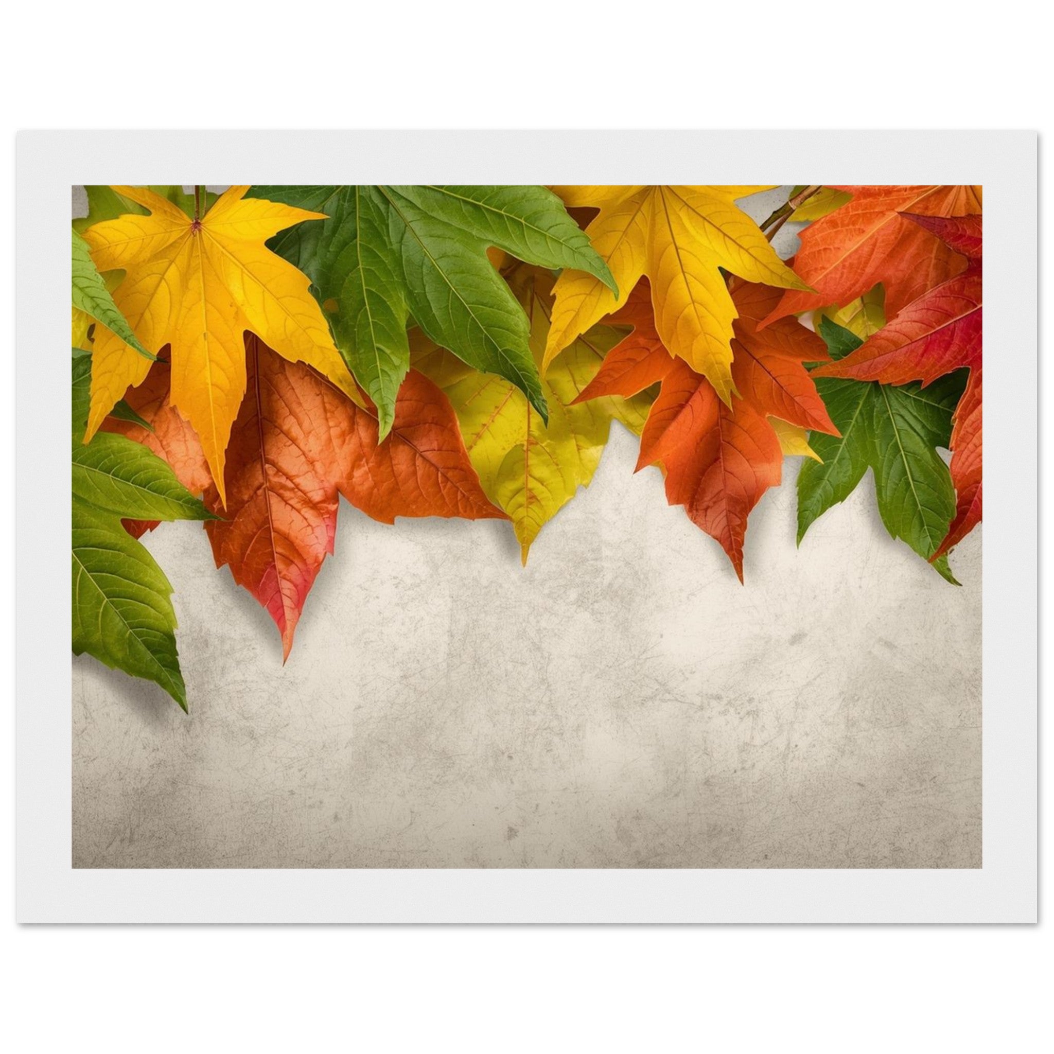 51ef1500-48ad-4c2d-a771-301751a7b996