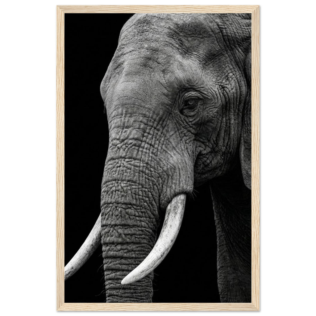 53978899-9fd5-425a-9ee5-6ba0e388c695