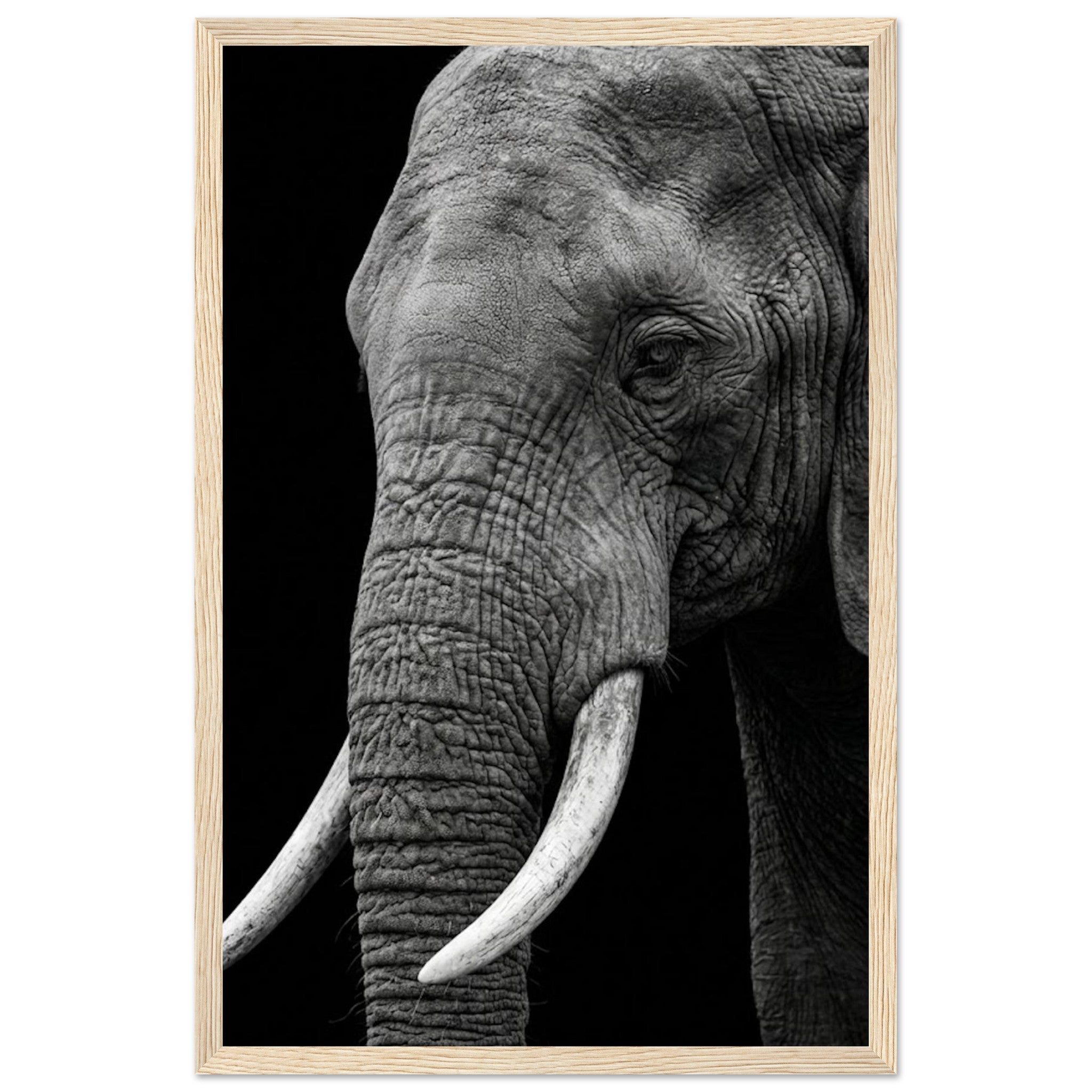 53978899-9fd5-425a-9ee5-6ba0e388c695