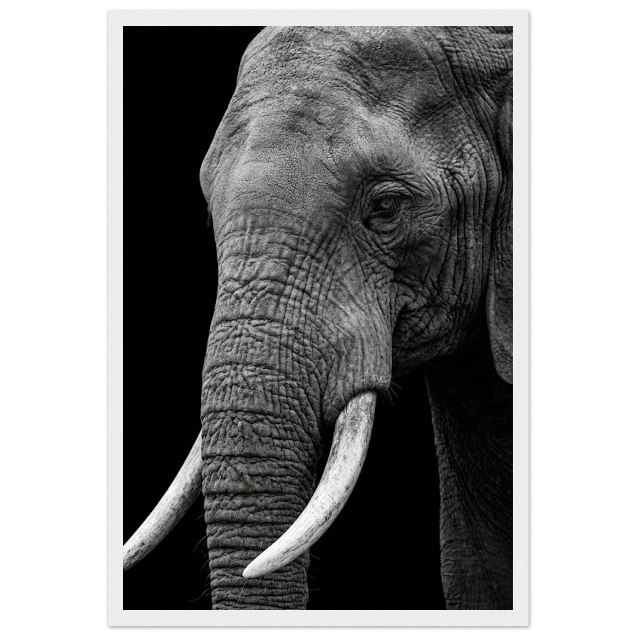 54b47ce2-8a9f-4ede-977a-313c52bf3de1