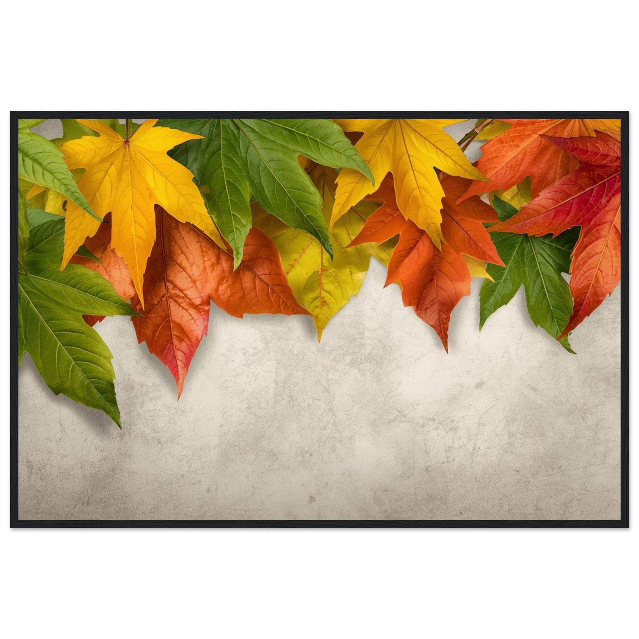 56a496c9-a21c-490c-b962-6def9b4a2ae9