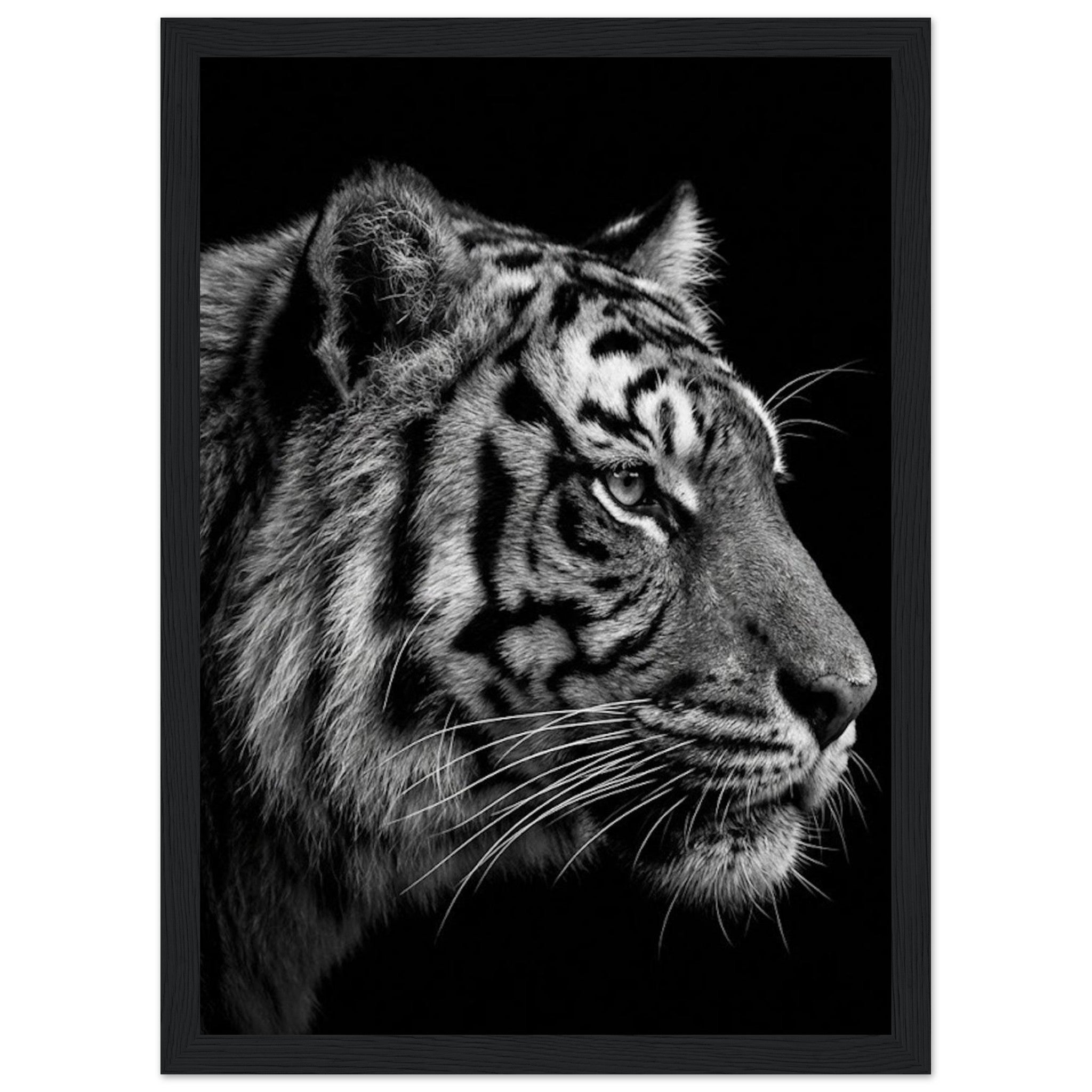 56c75fe8-b818-4980-b463-61aa93ef06bc