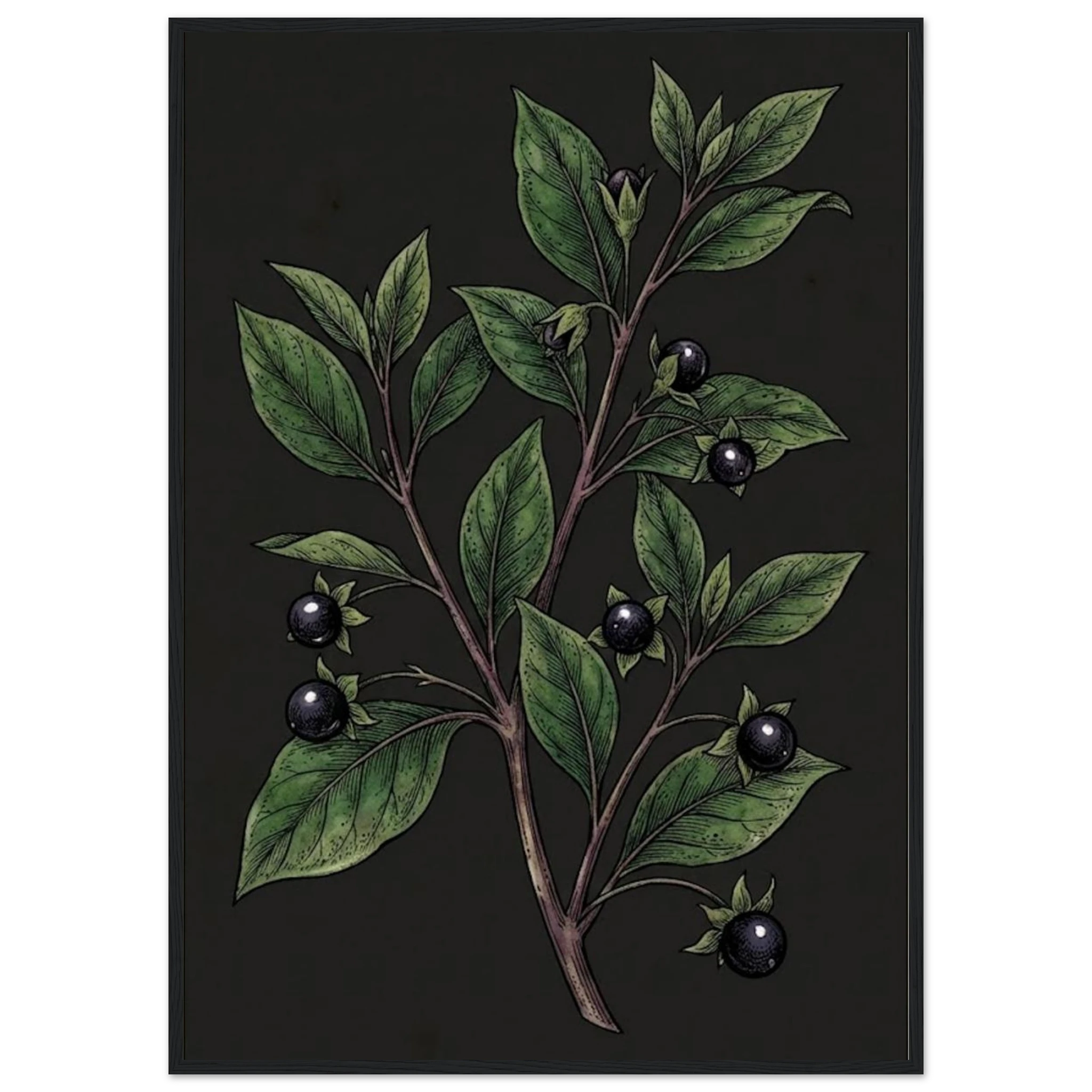 57c2a87b-82a4-41fc-91ed-13ab6b73798f