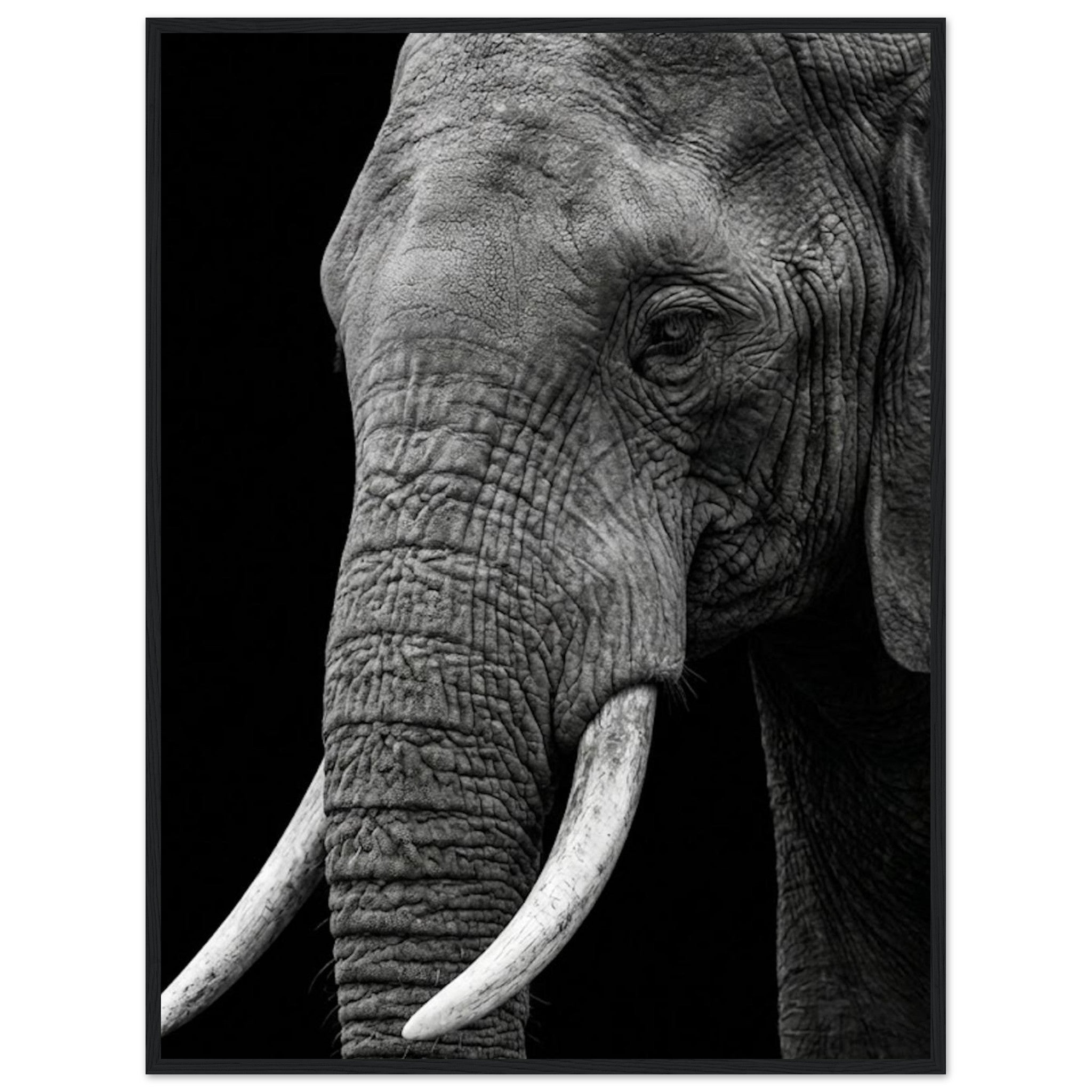 58d4395a-3ade-4bb3-8285-4c4c88e7da96