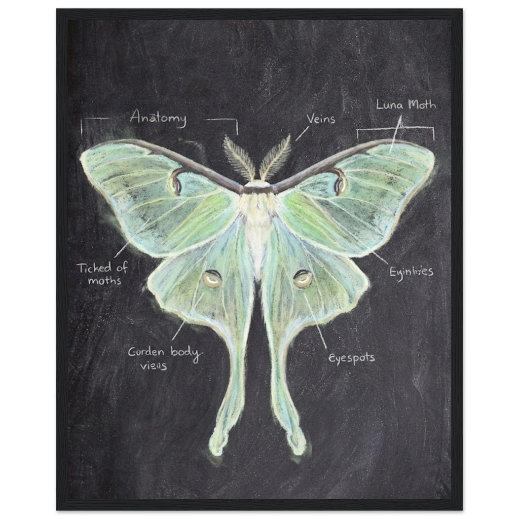 59508e60-8cef-4f85-8f19-be5fcf516a93