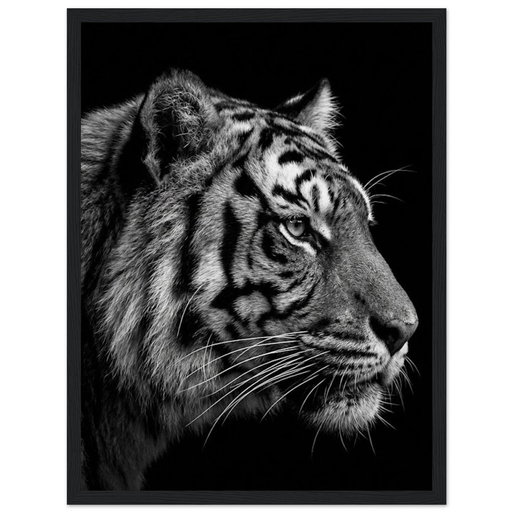 5a43cb01-9f3b-4c27-bd67-e35192012008