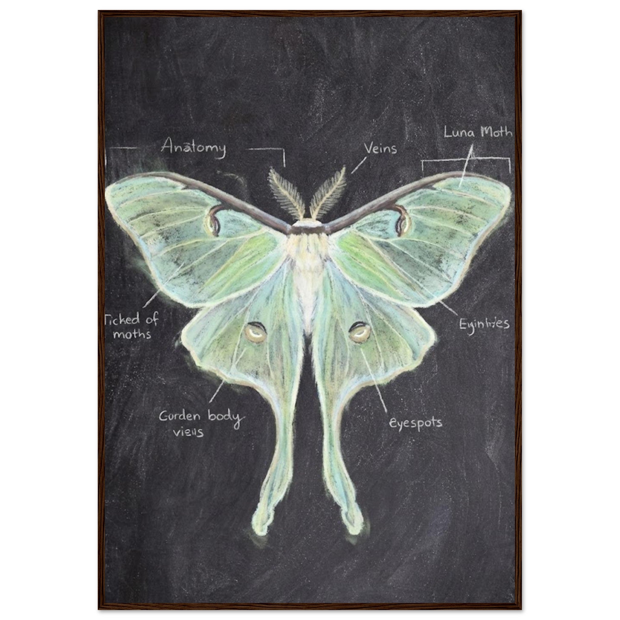 5a476745-2156-46a7-870e-9e57d75634d6