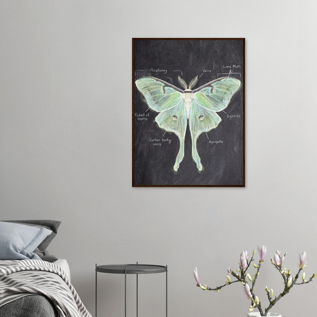 5d311e9d-e9bc-4788-94b9-b55fa6d08424