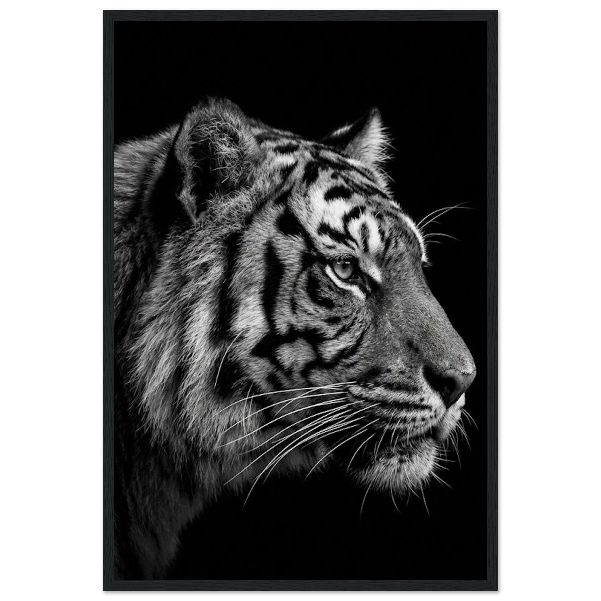 60dc5666-0685-4085-ae41-6405397ff6b9